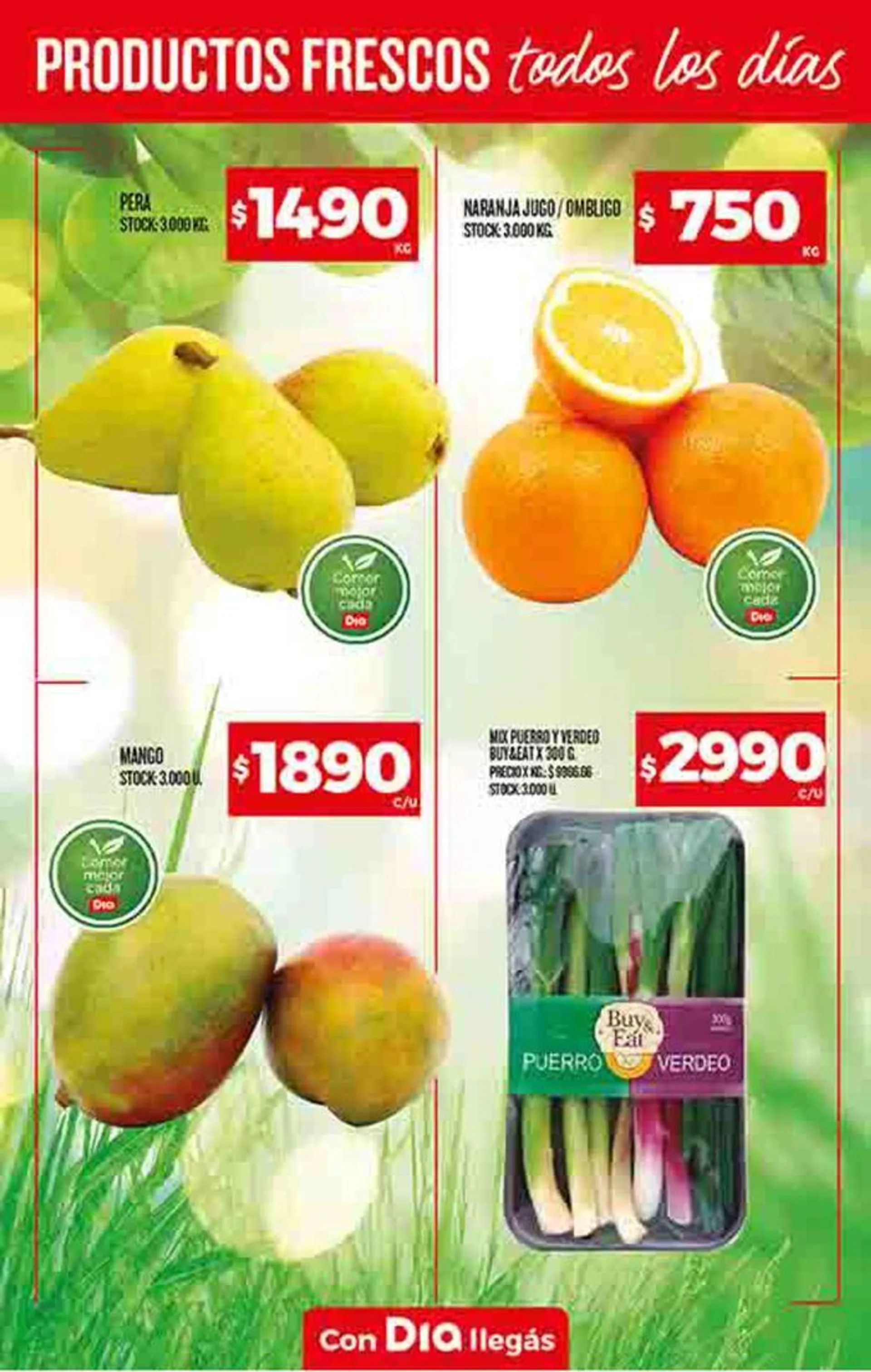 Ofertas Supermercados DIA - 33