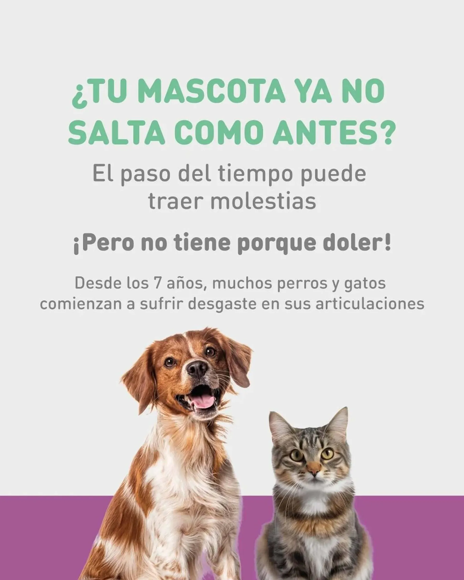 Catálogo Puppis - 1