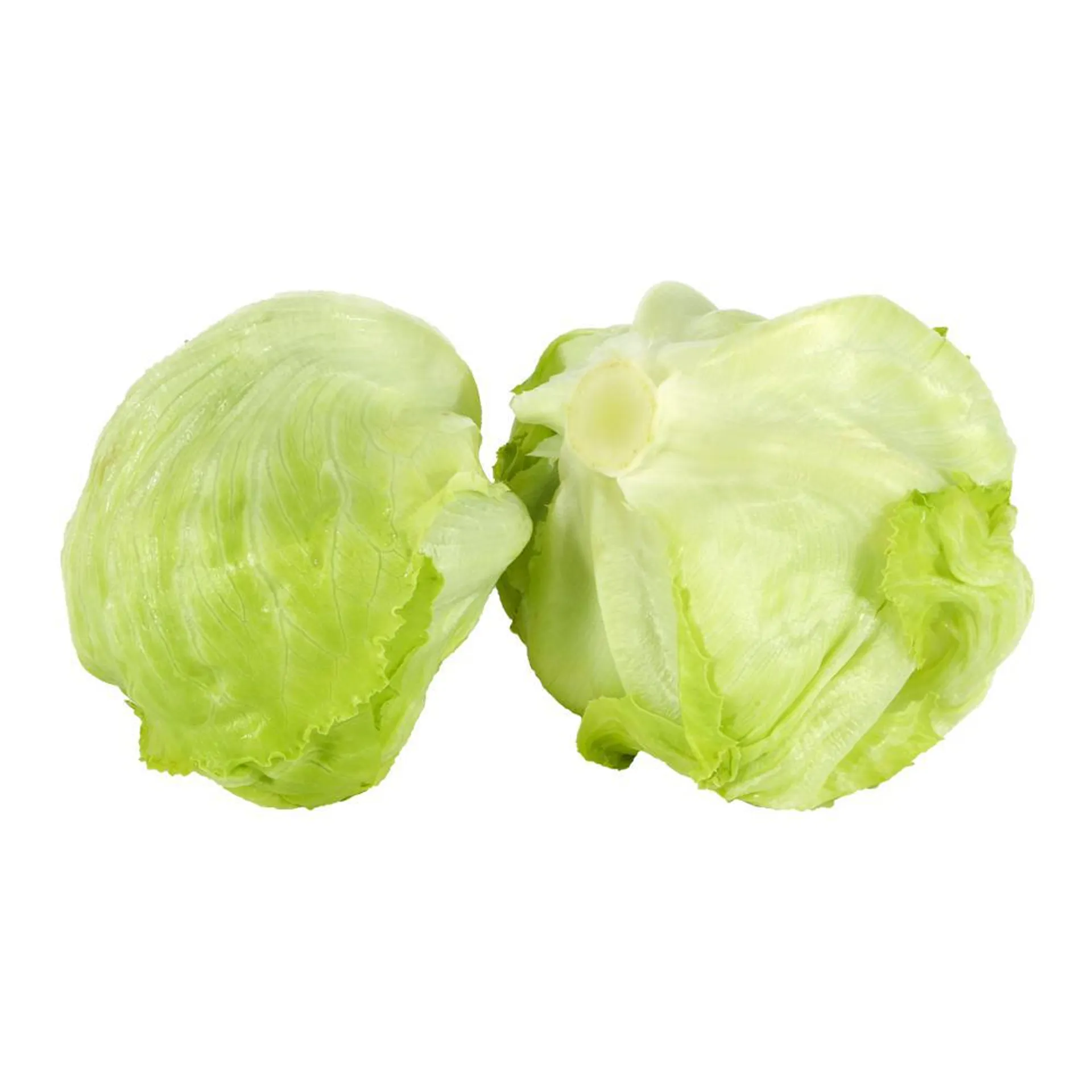 Lechuga Capuchina X Kg