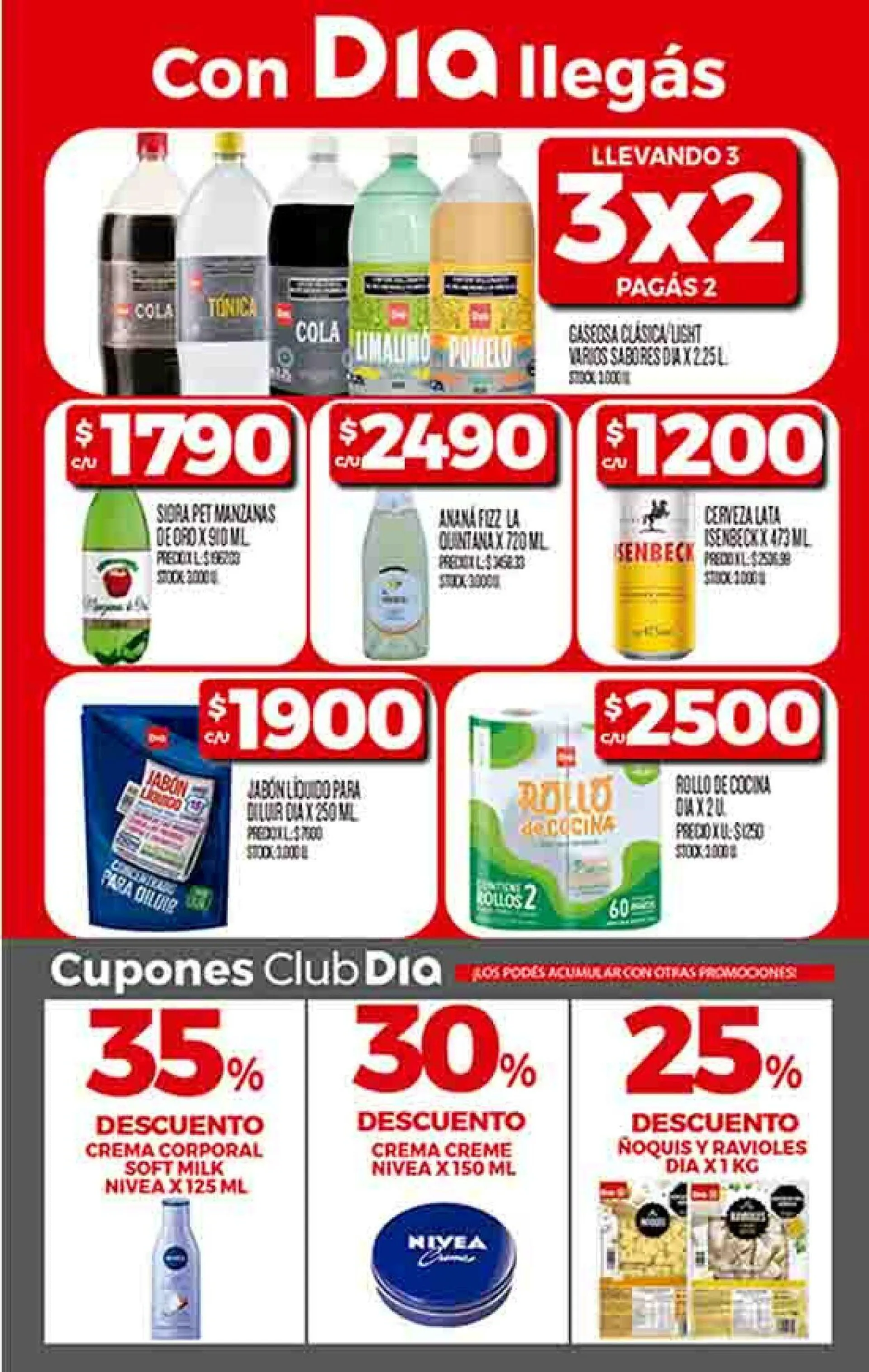 Ofertas de Dia 15 de noviembre al 1 de diciembre 2024 - Página 3 del catálogo