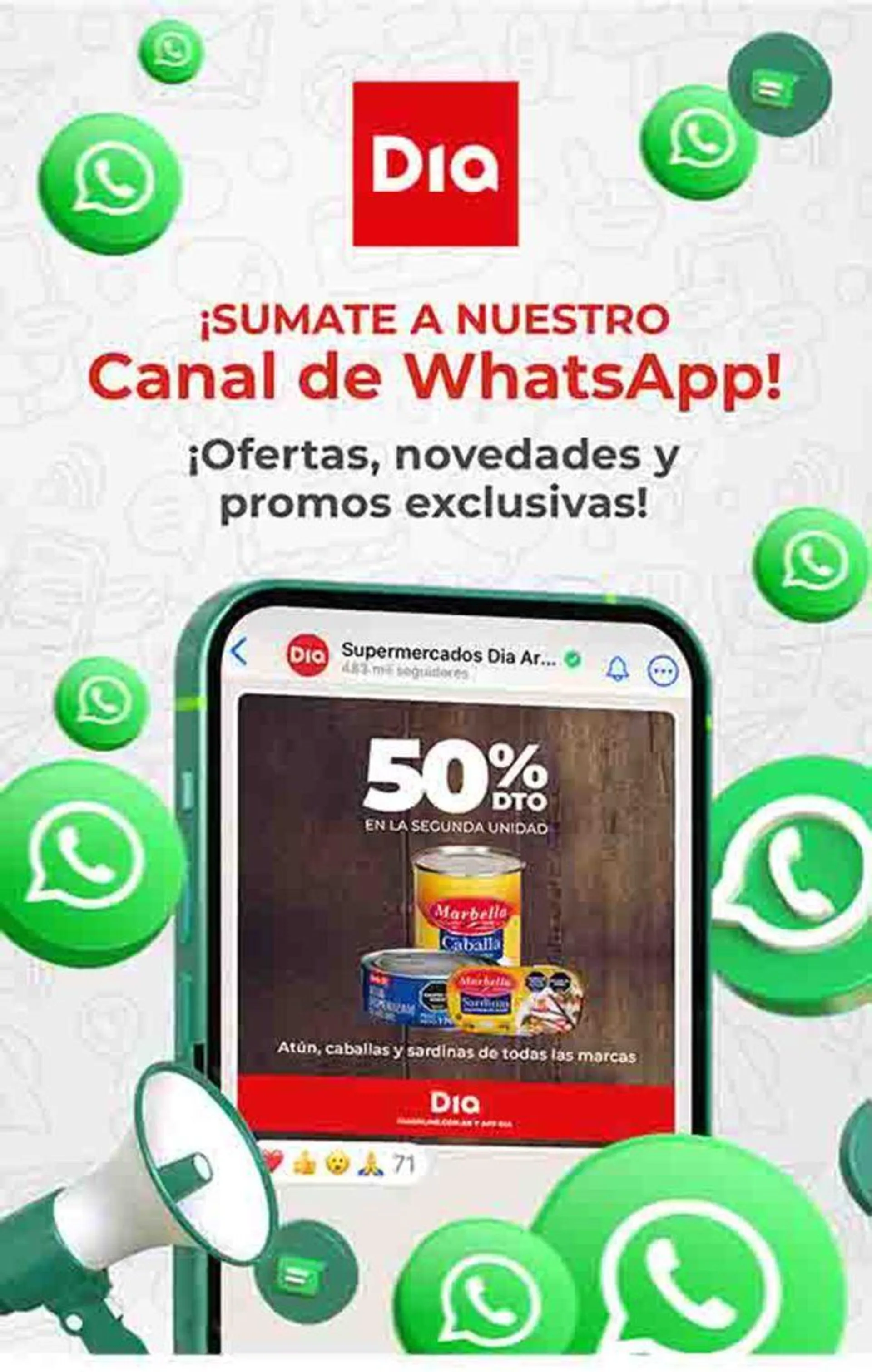 Ofertas Supermercados DIA - 65