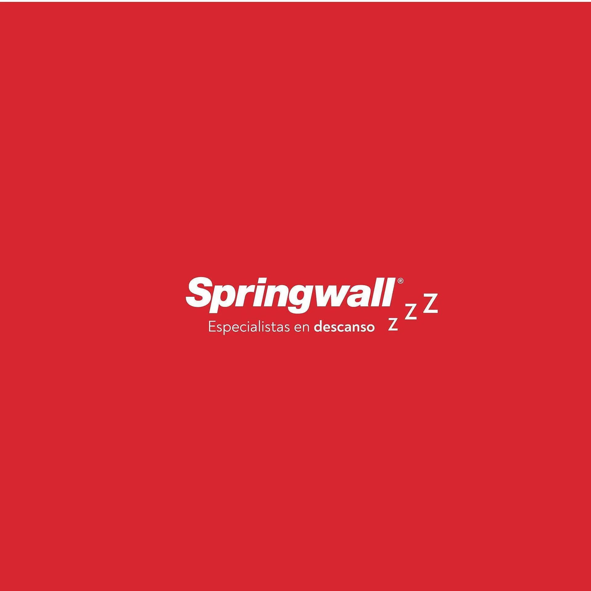 Ofertas de Catálogo Springwall 26 de septiembre al 31 de octubre 2024 - Página 2 del catálogo