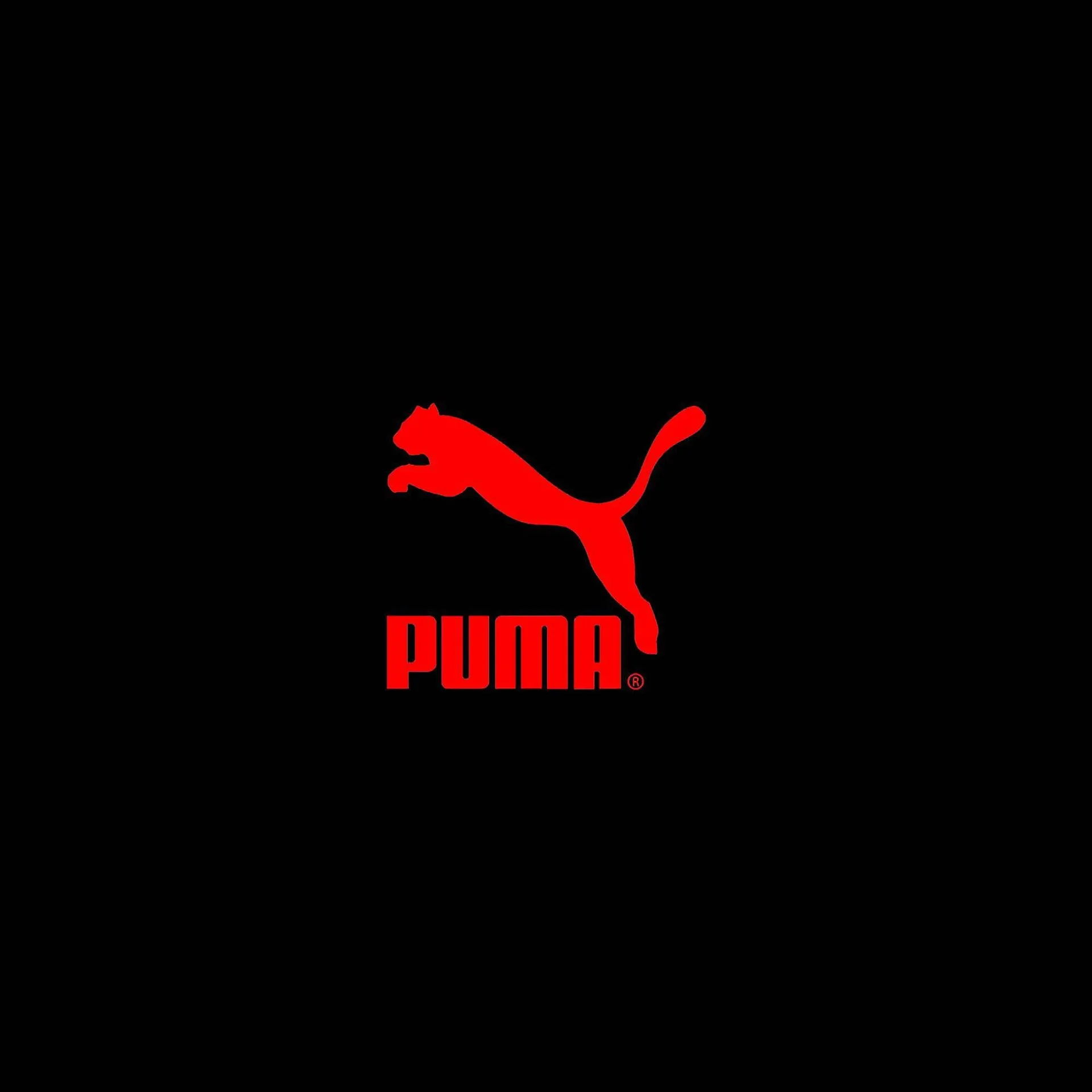 Catálogo Puma - 12