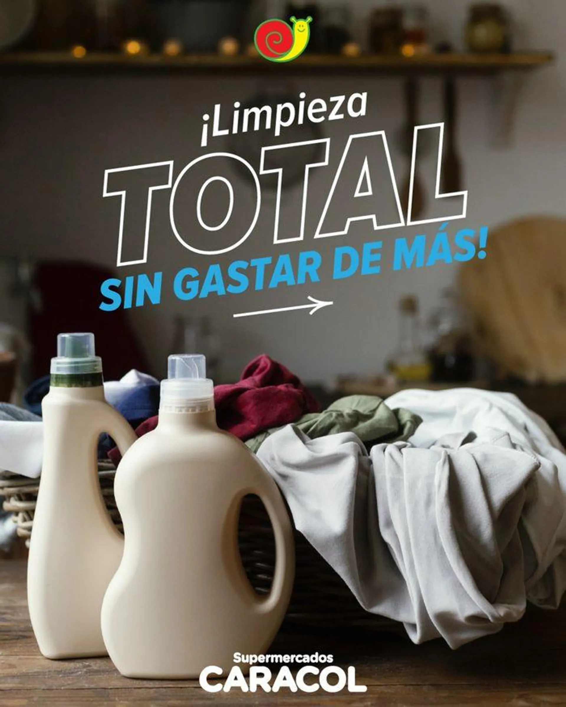 ¡Limpieza Total sin gastar de más! - 1