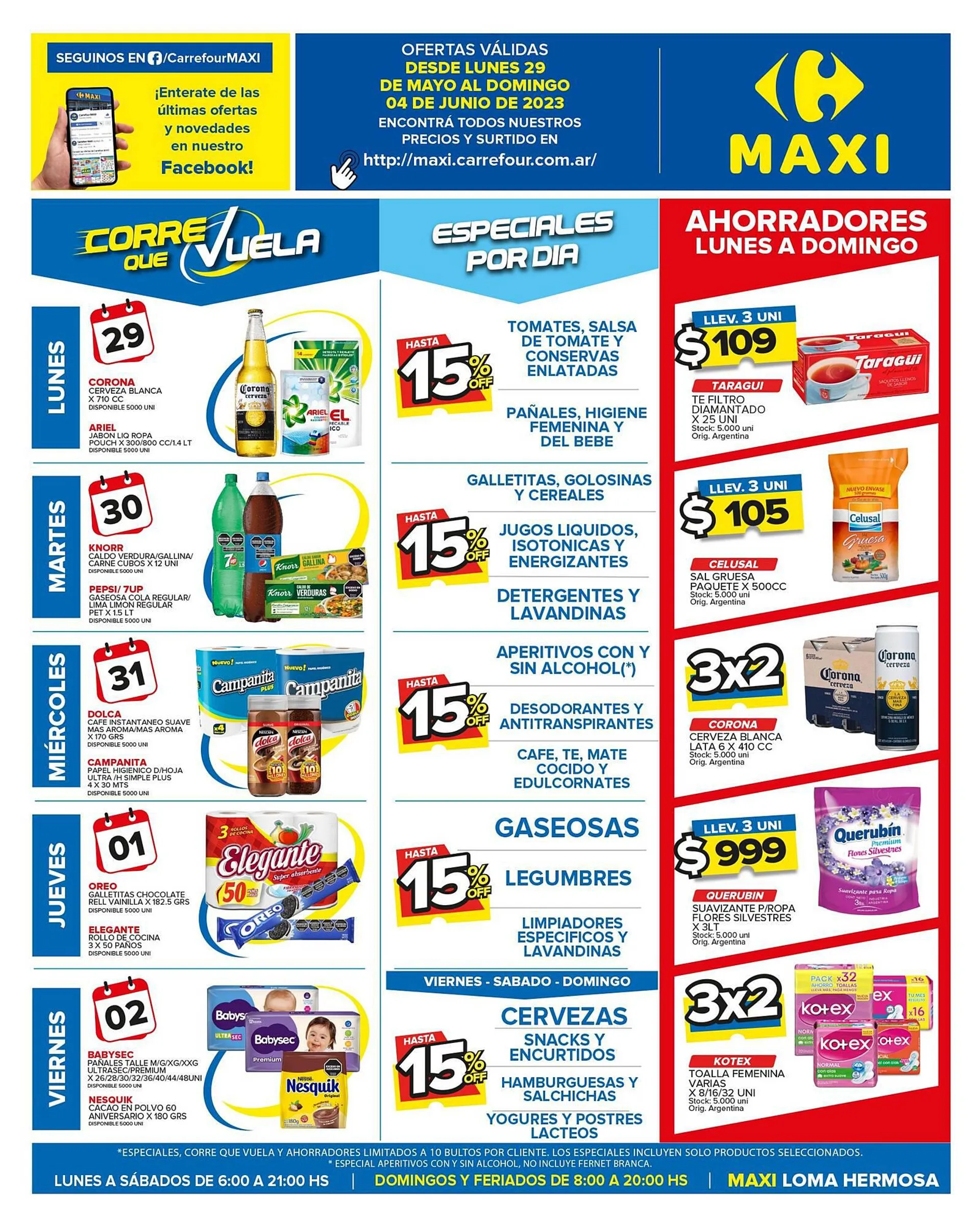 Catálogo Carrefour Maxi - 1