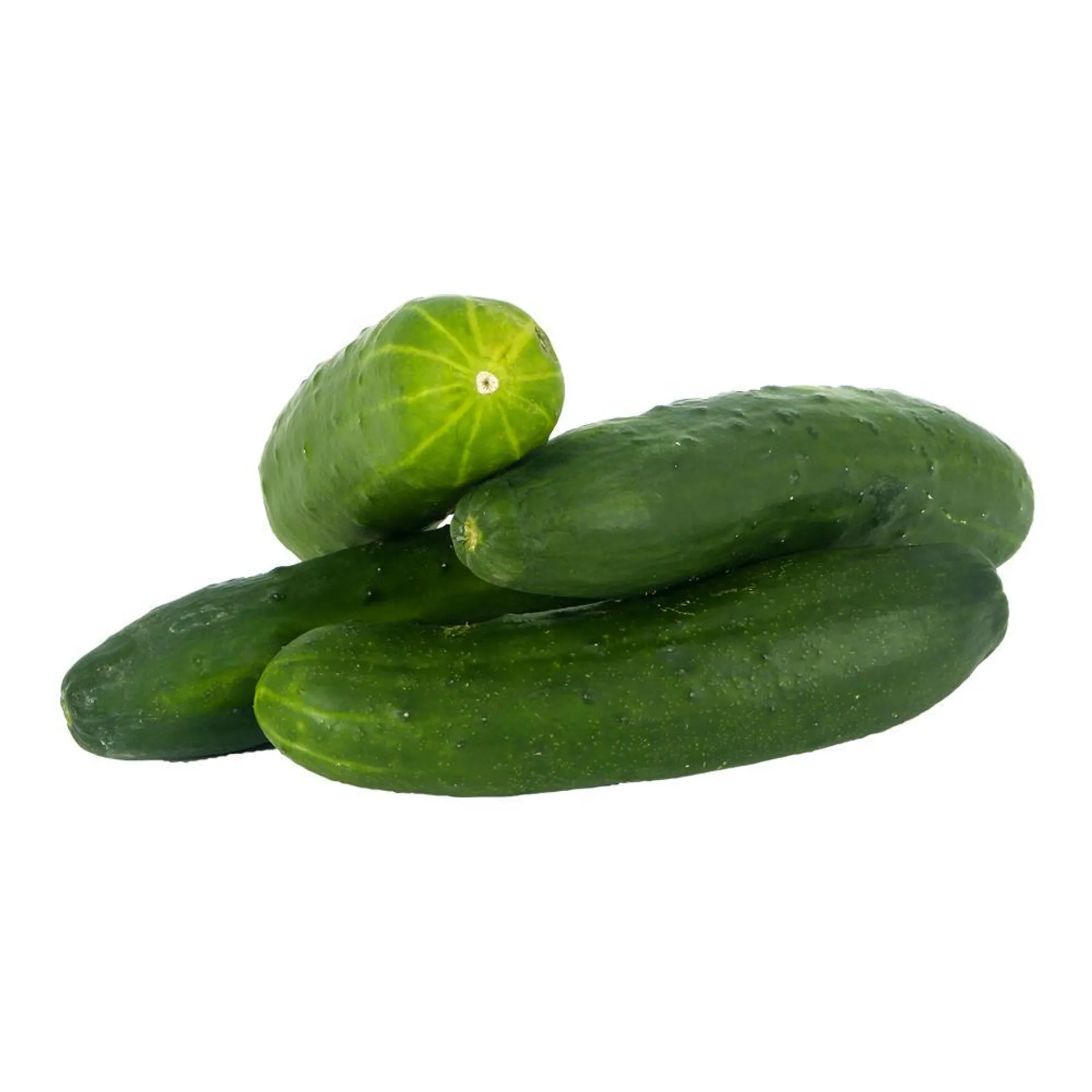 Pepino . Xkg