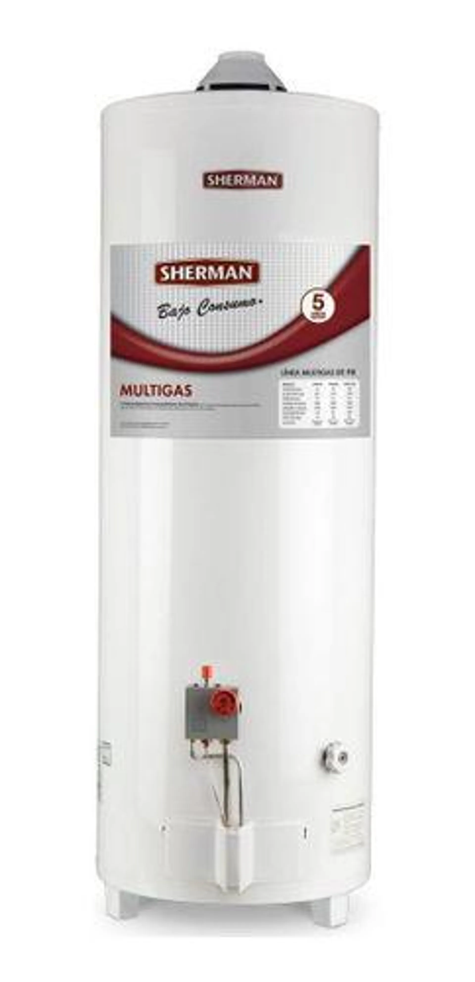 Termotanque A Gas Sherman by Rheem de Pie 80 lts C. Superior