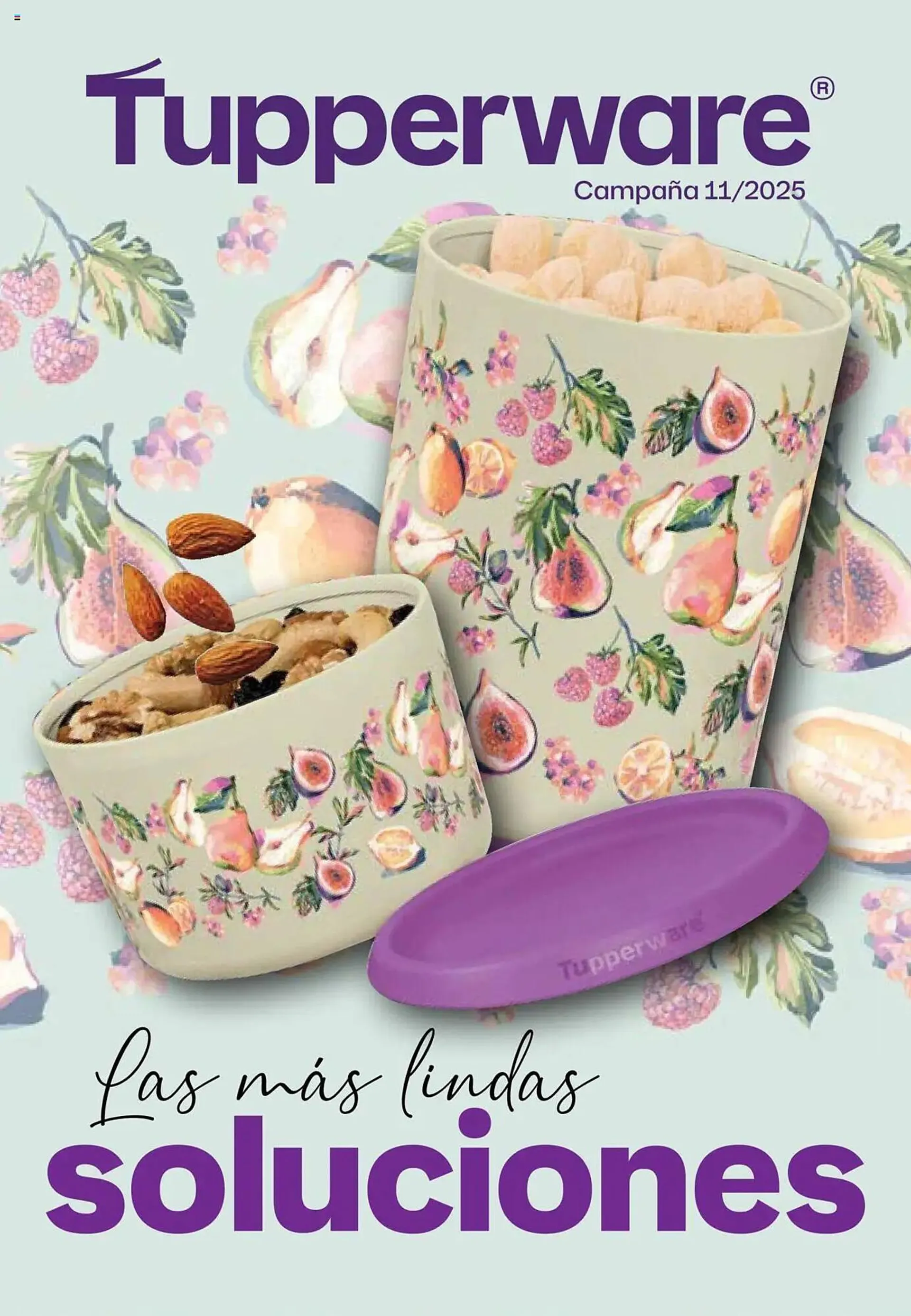 Catálogo Tupperware - 1