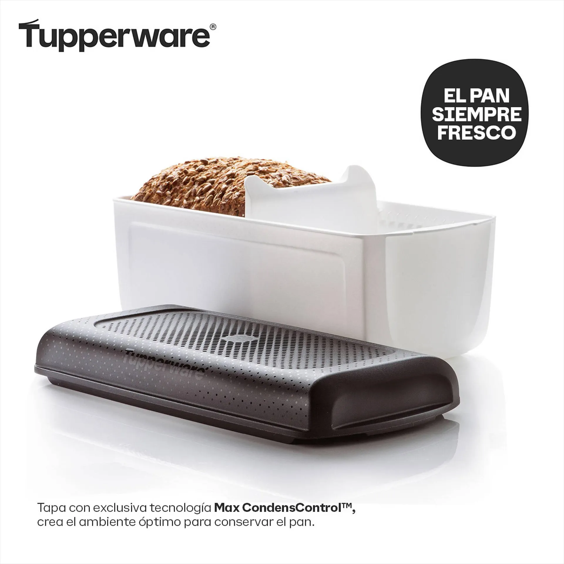 Ofertas de Catálogo Tupperware 29 de octubre al 4 de noviembre 2024 - Página 2 del catálogo