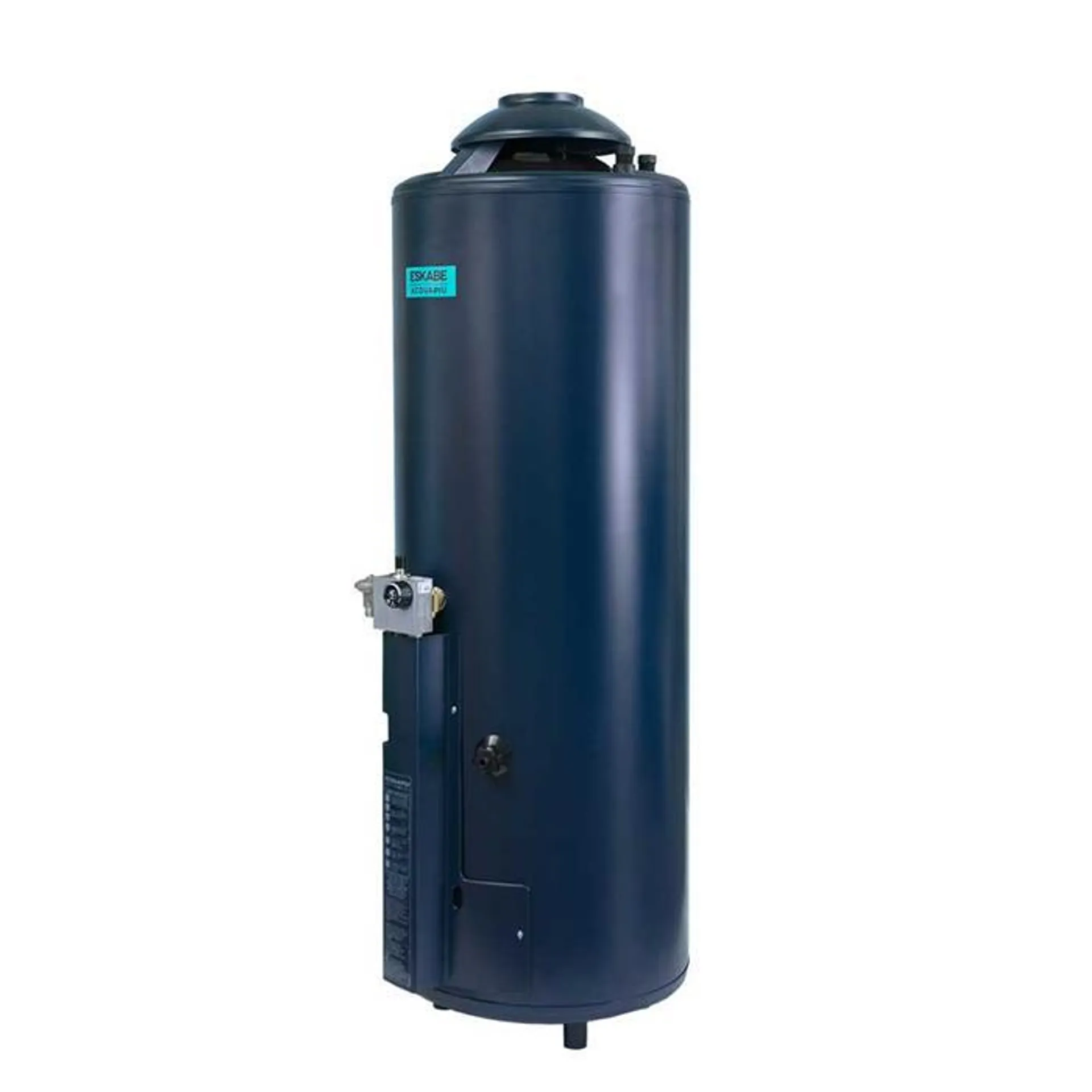 Termotanque a Gas Eskabe 76 Lt H-1100 Hybrid4 Conexión Superior