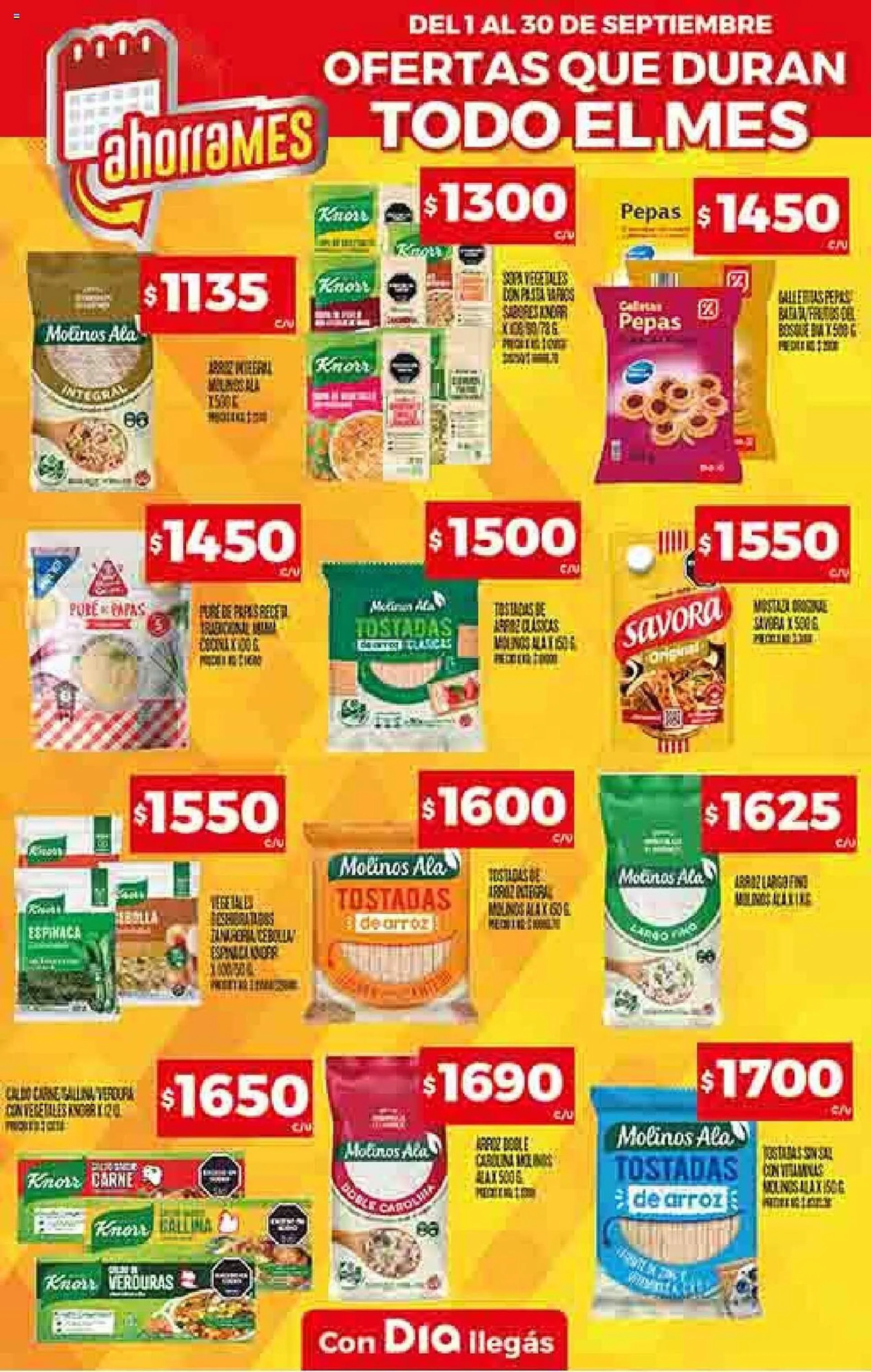 Ofertas de Catálogo Supermercados DIA 3 de octubre al 8 de octubre 2024 - Página 23 del catálogo