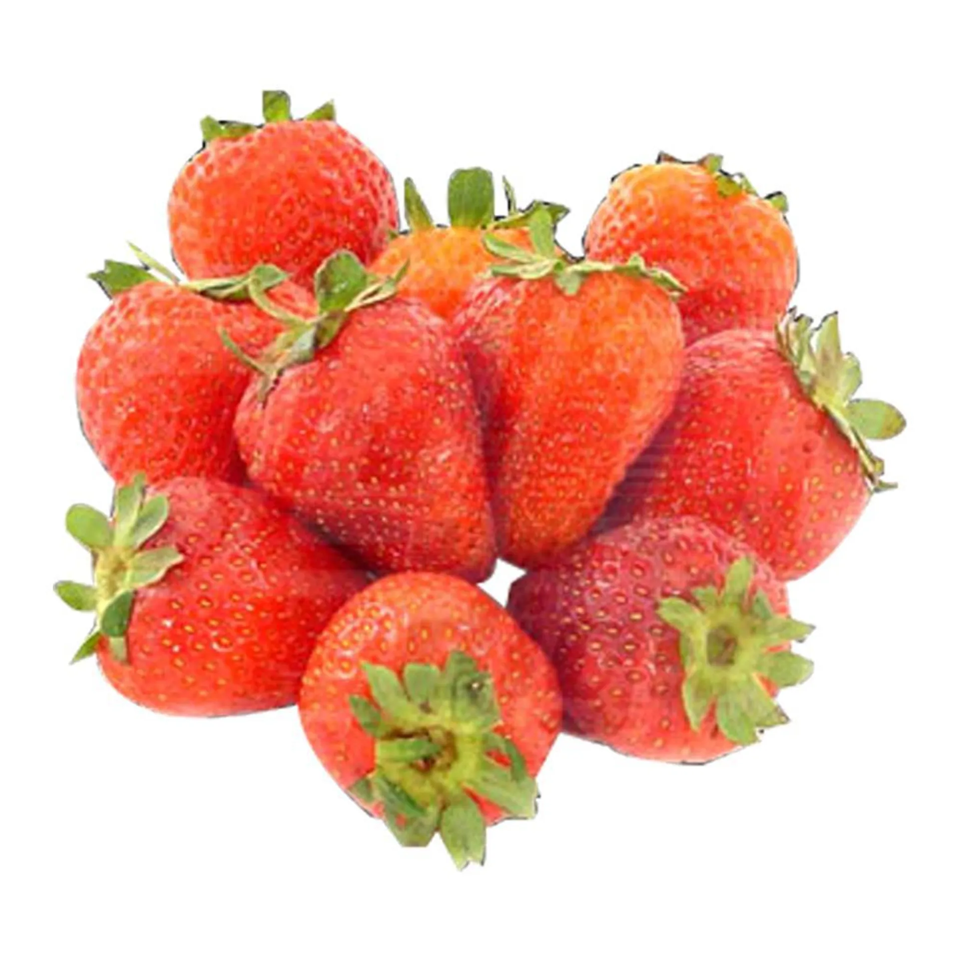 Frutillas Selección X Kg