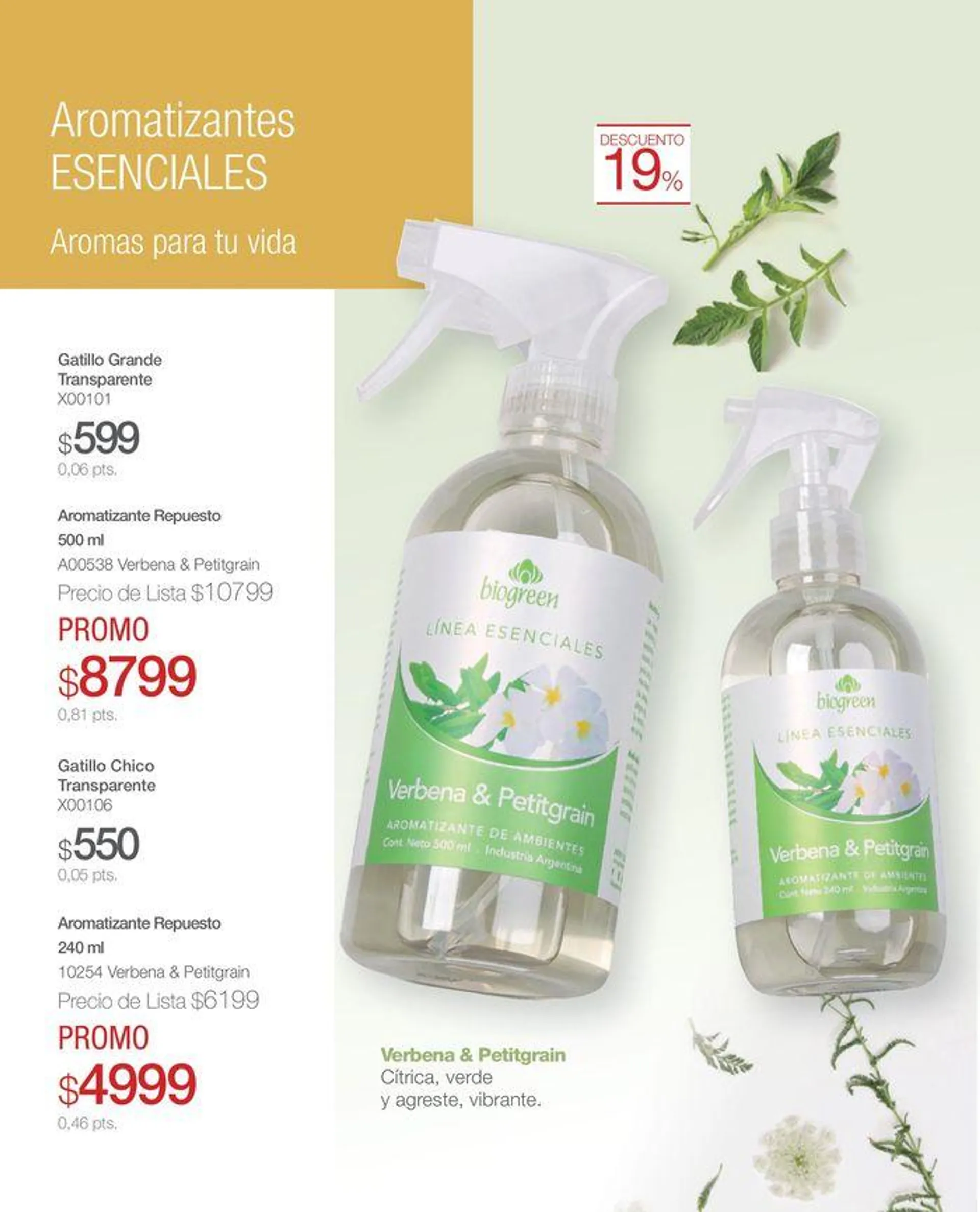 Catálogo Perfumes Biogreen Julio  - 12