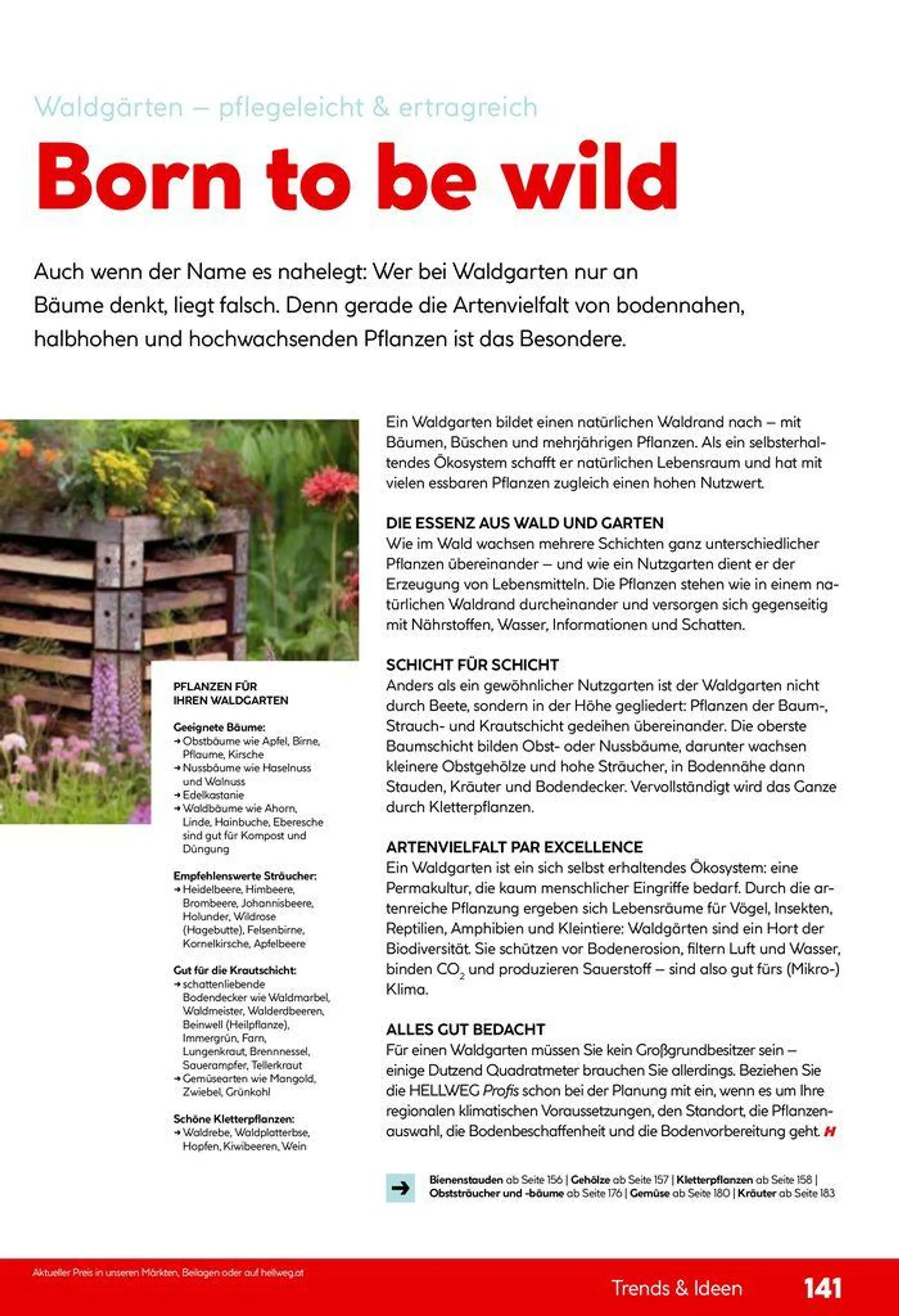 Gartenkatalog 2024 von 28. Mai bis 31. Dezember 2024 - Flugblätt seite  141