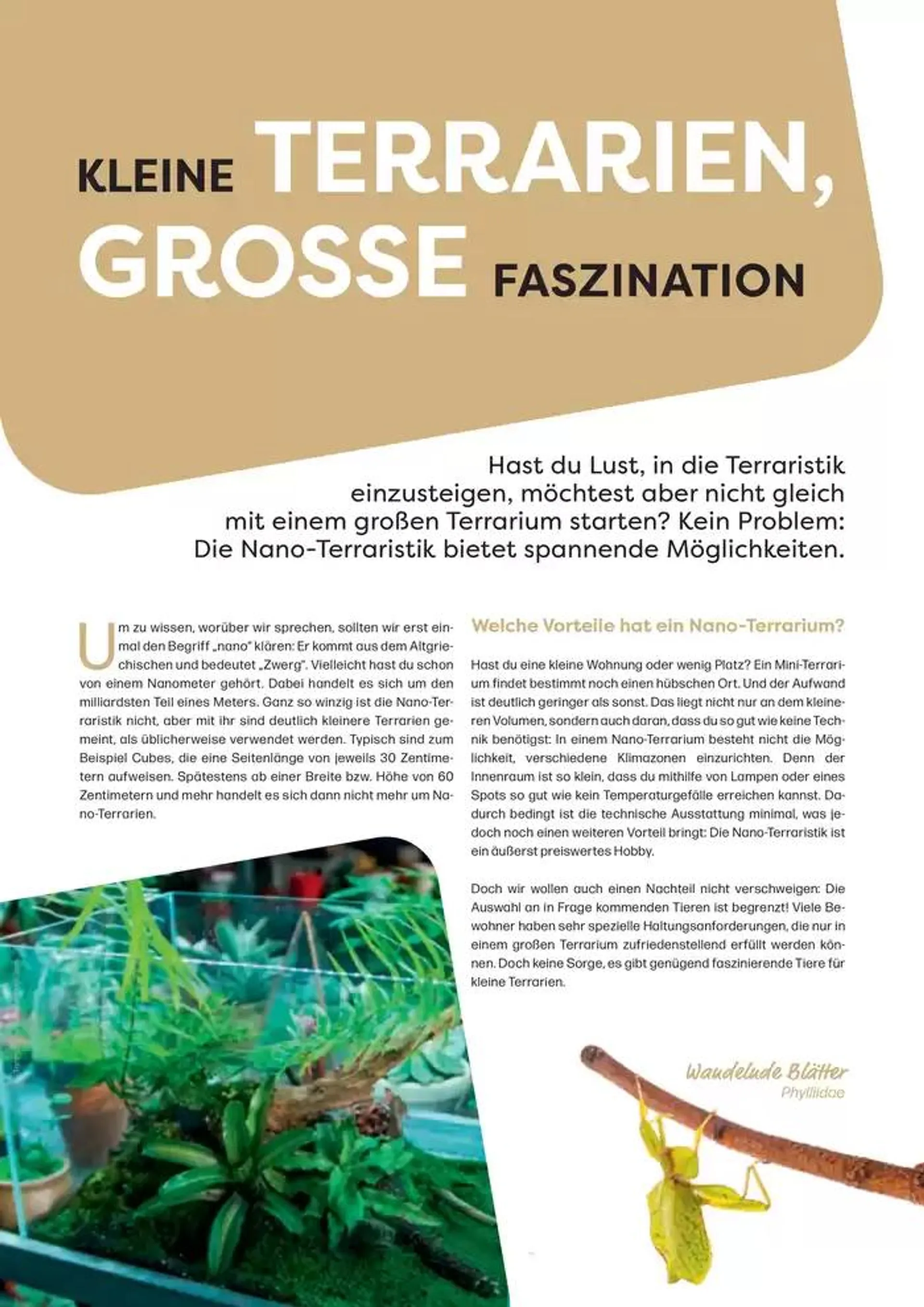 Angebote ZOO & Co von 29. November bis 13. Dezember 2024 - Flugblätt seite  42