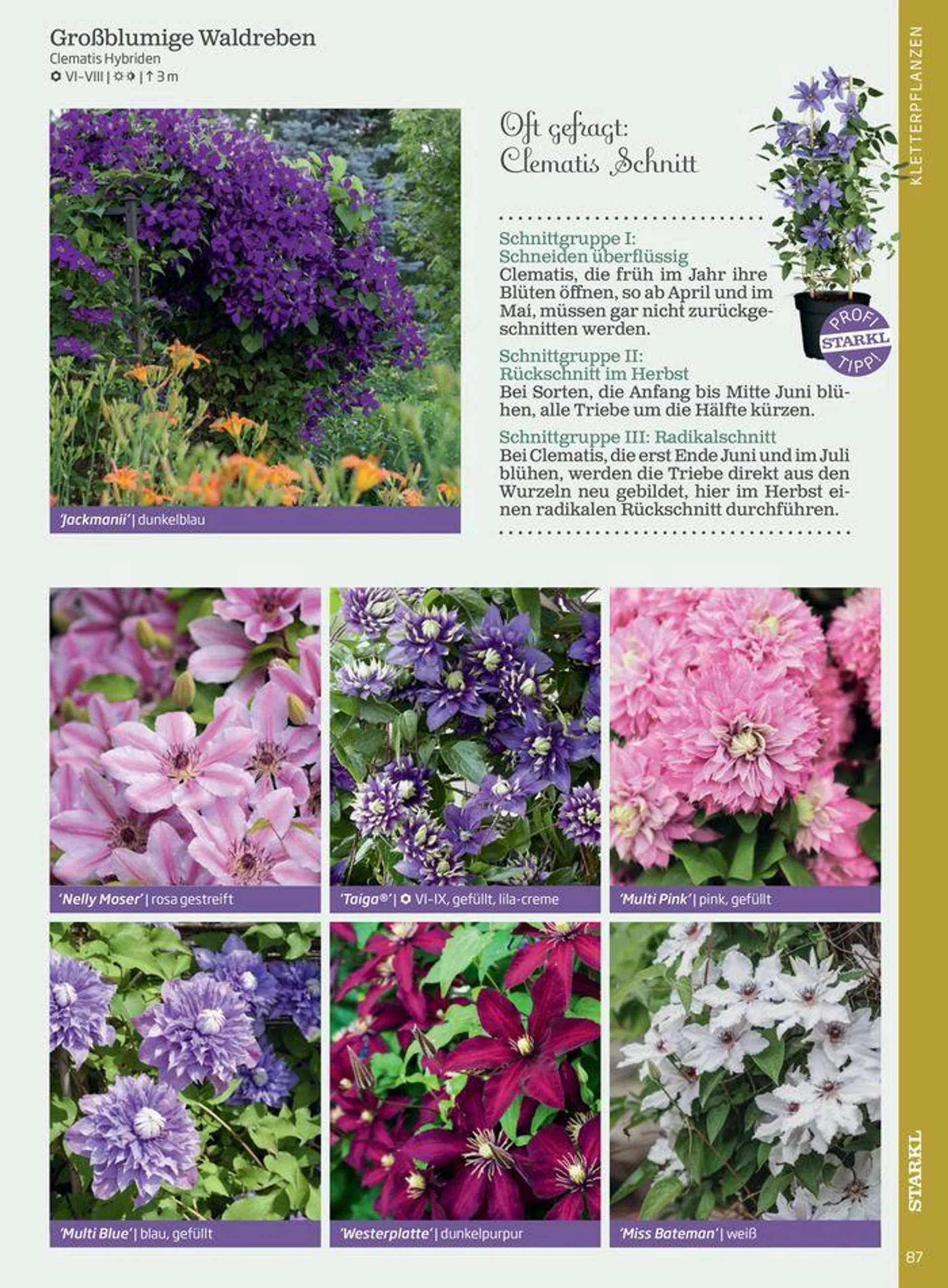 Gartencenter Jahreskatalog 2024 - 87