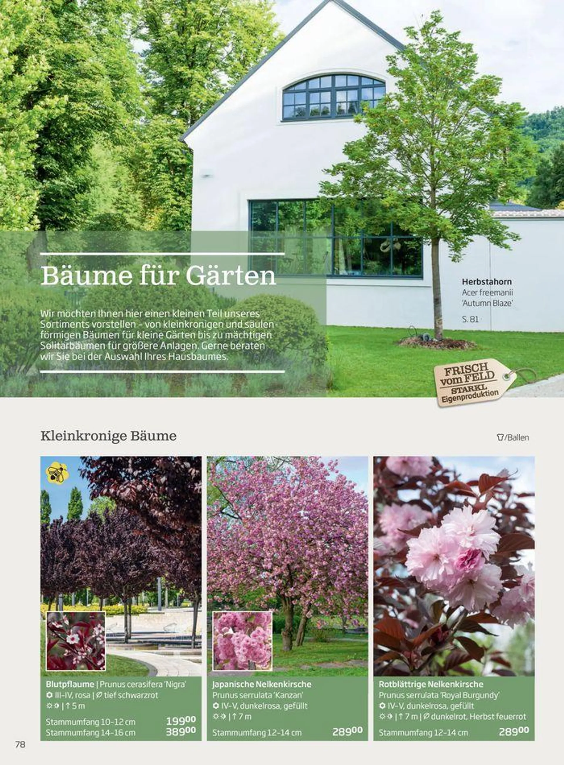 Gartencenter Jahreskatalog 2024 - 78