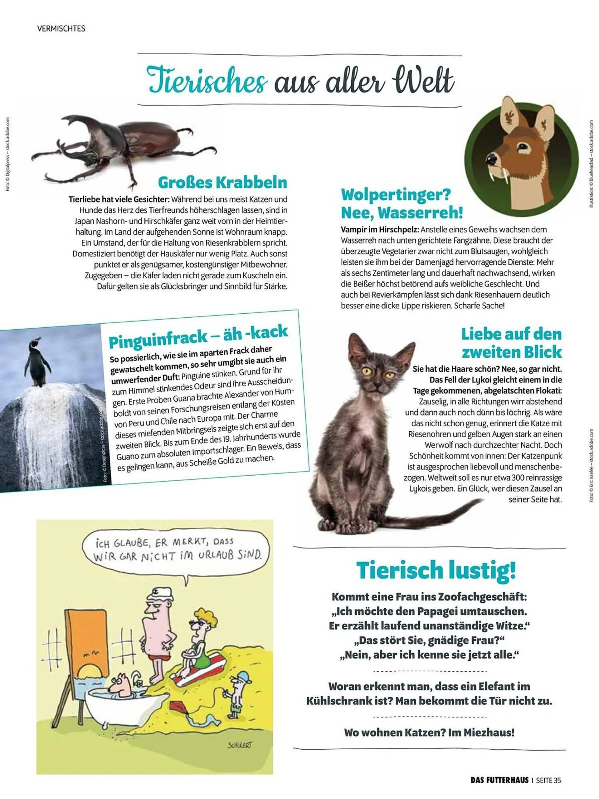 Das Futterhaus Flugblatt von 31. Mai bis 9. Juli 2024 - Flugblätt seite  35