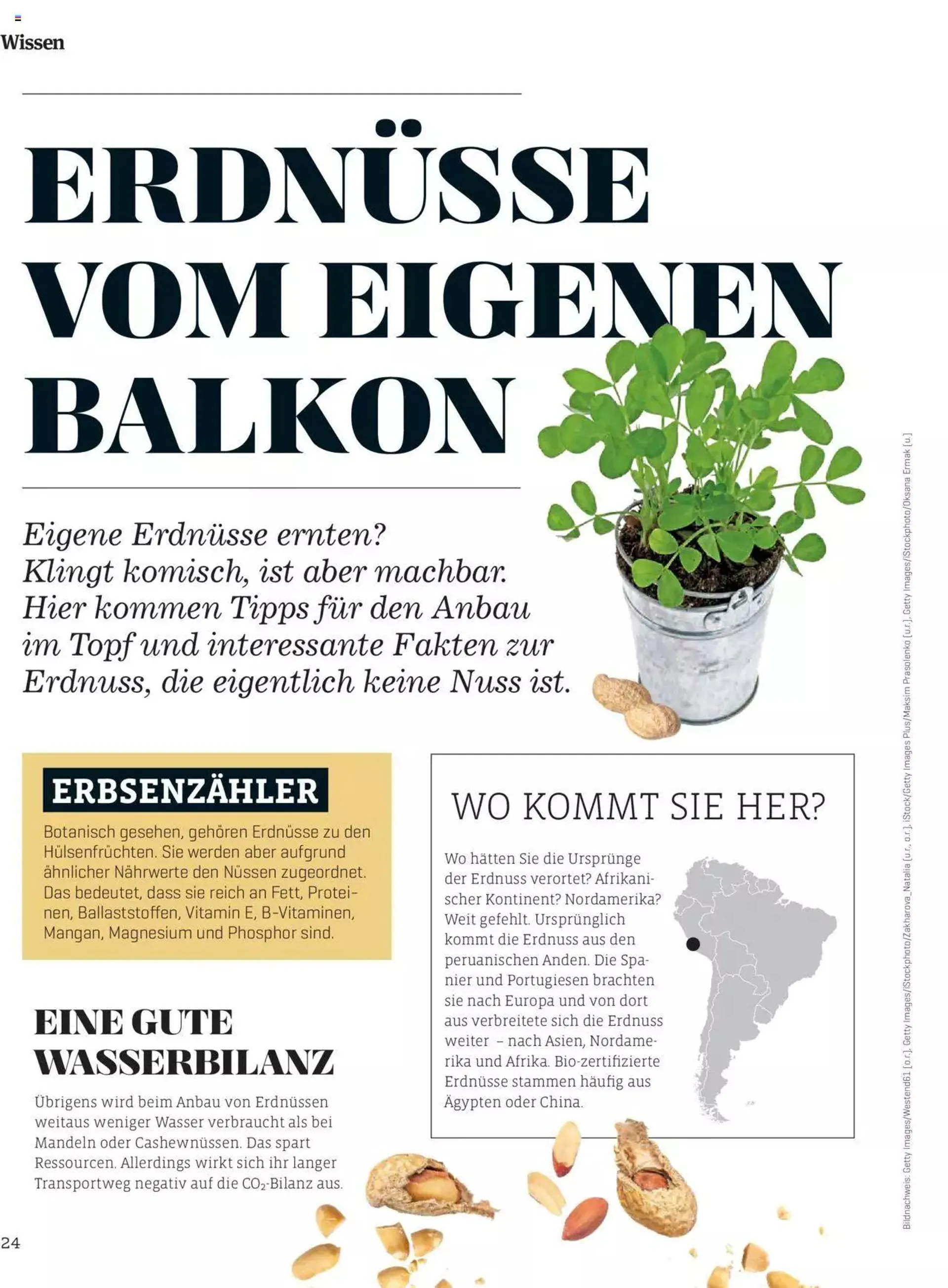 Denns BioMarkt KREO Magazin von 15. April bis 31. Dezember 2024 - Flugblätt seite  24