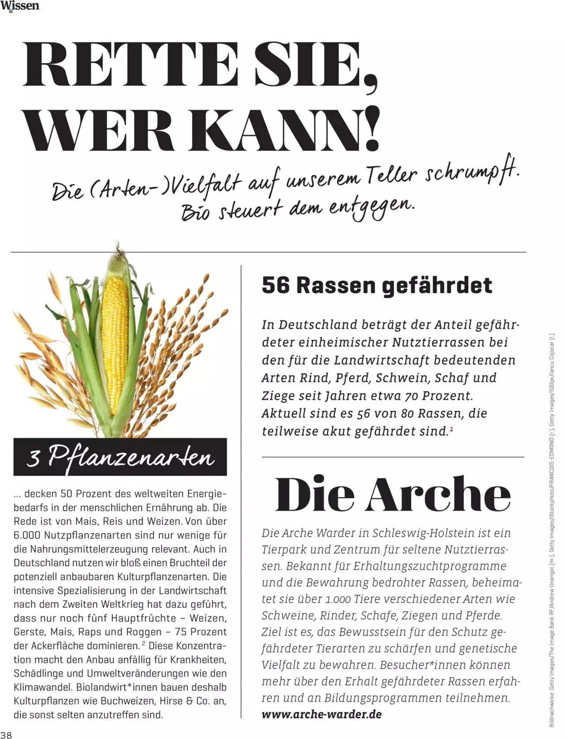 Denns BioMarkt KREO Magazin von 15. April bis 31. Dezember 2024 - Flugblätt seite  38