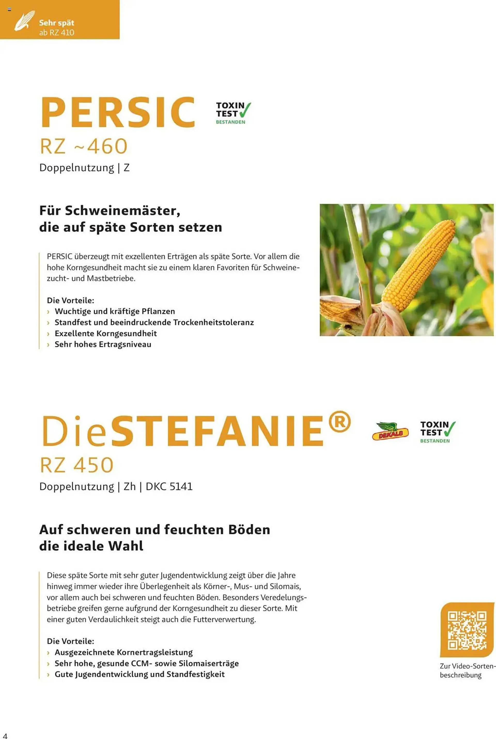 Lagerhaus Flugblatt von 4. Dezember bis 2. Juni 2025 - Flugblätt seite  4