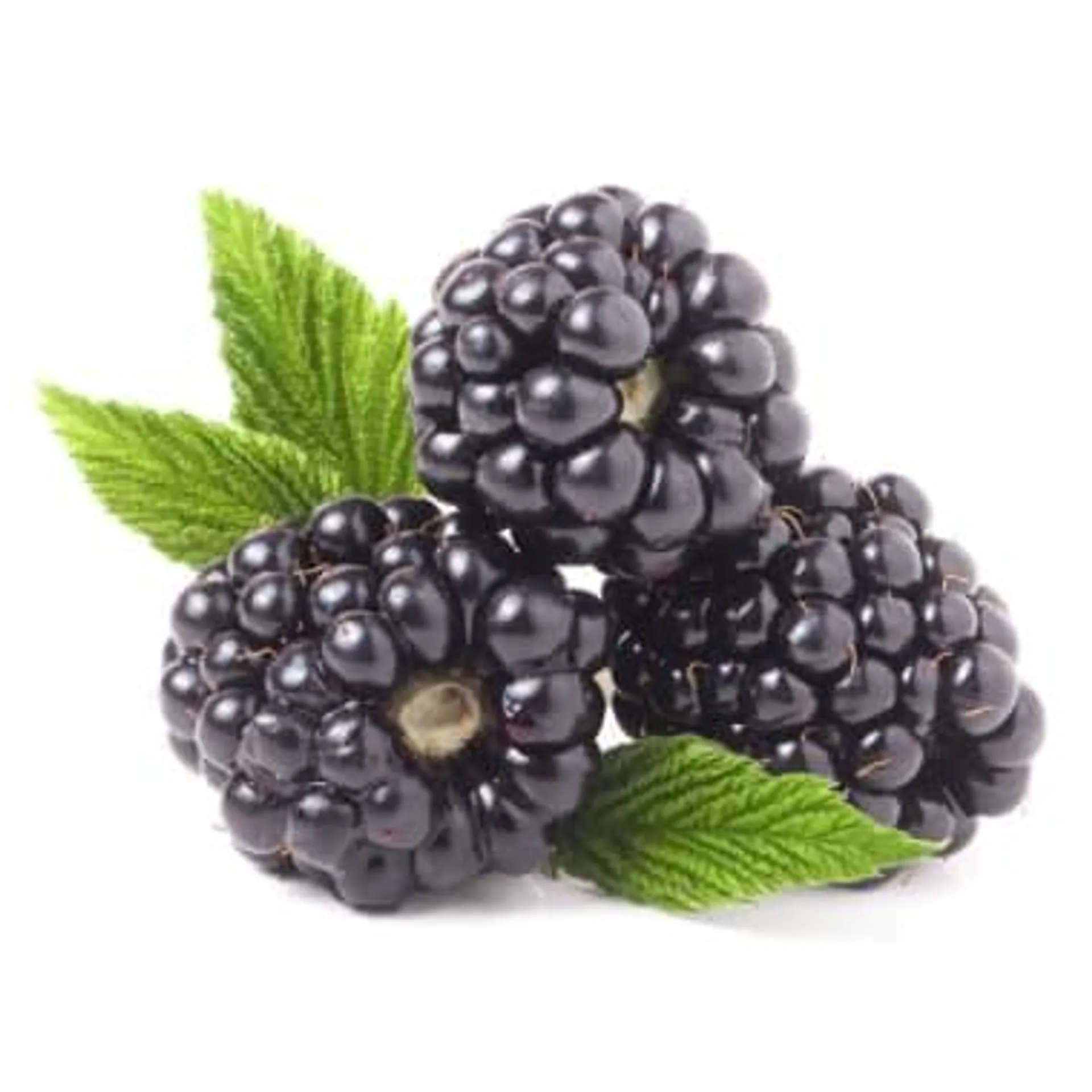 Brombeeren 125 gr