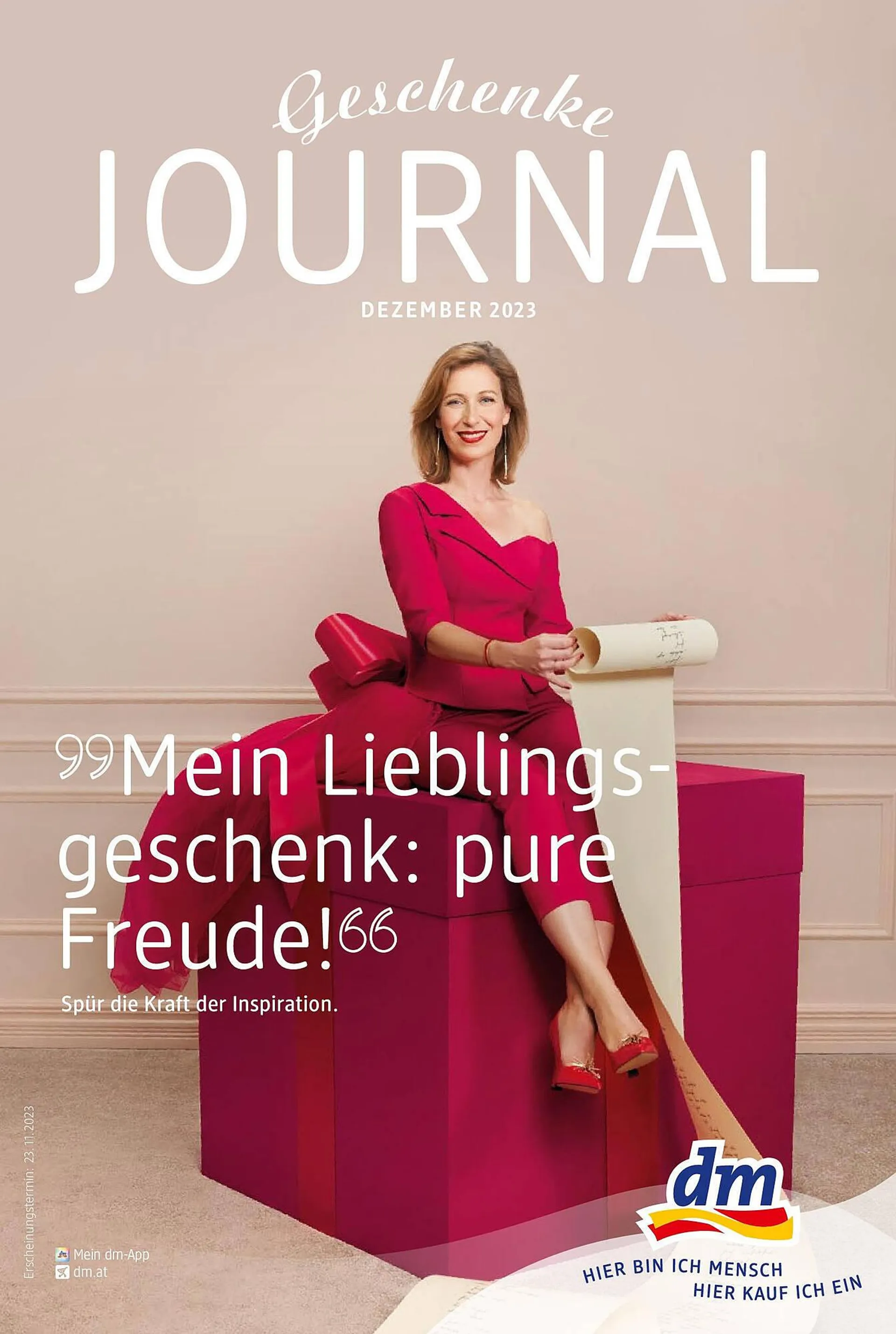 dm Flugblatt