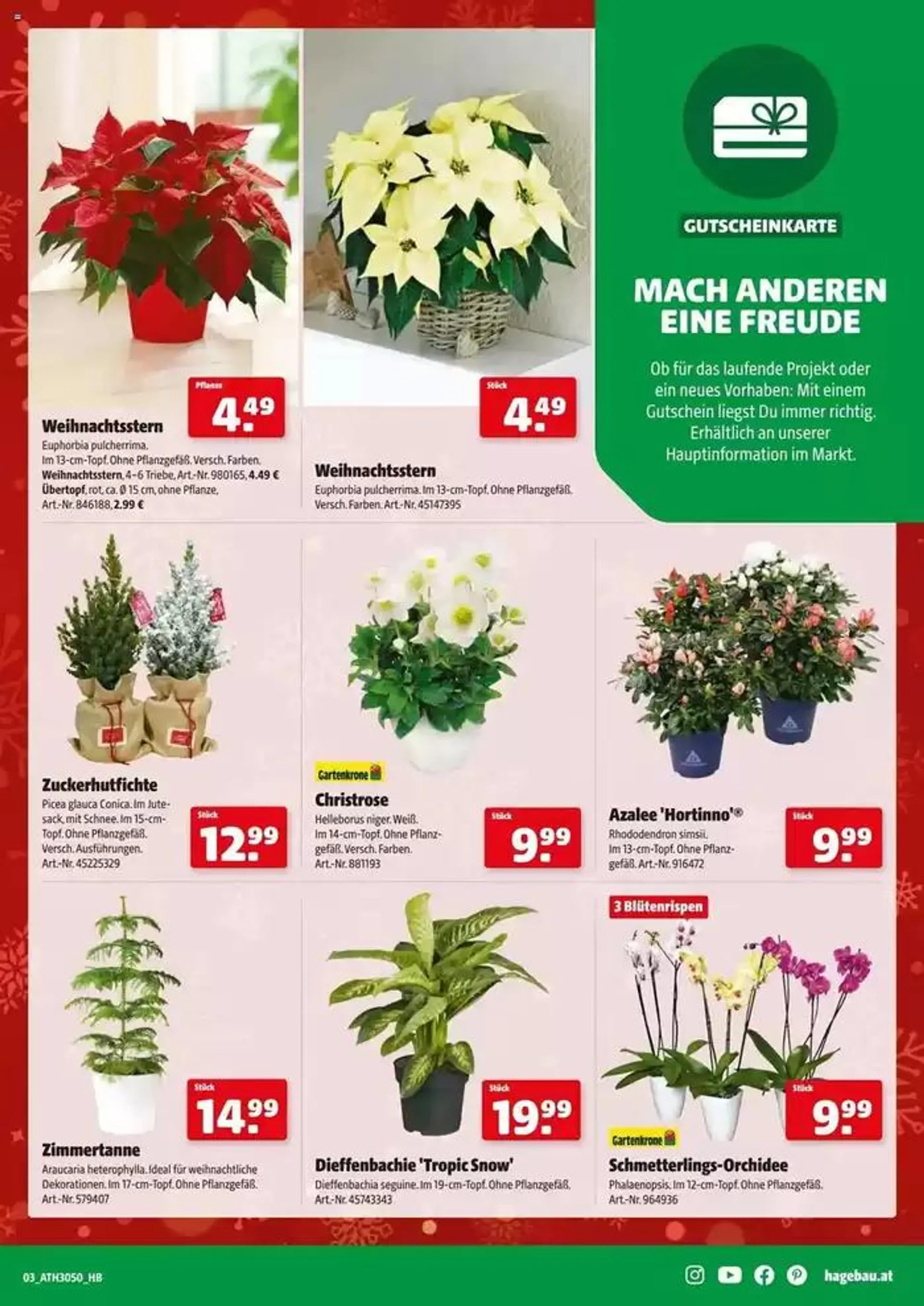 Tolles Angebot für alle Kunden von 3. Dezember bis 17. Dezember 2024 - Flugblätt seite  9