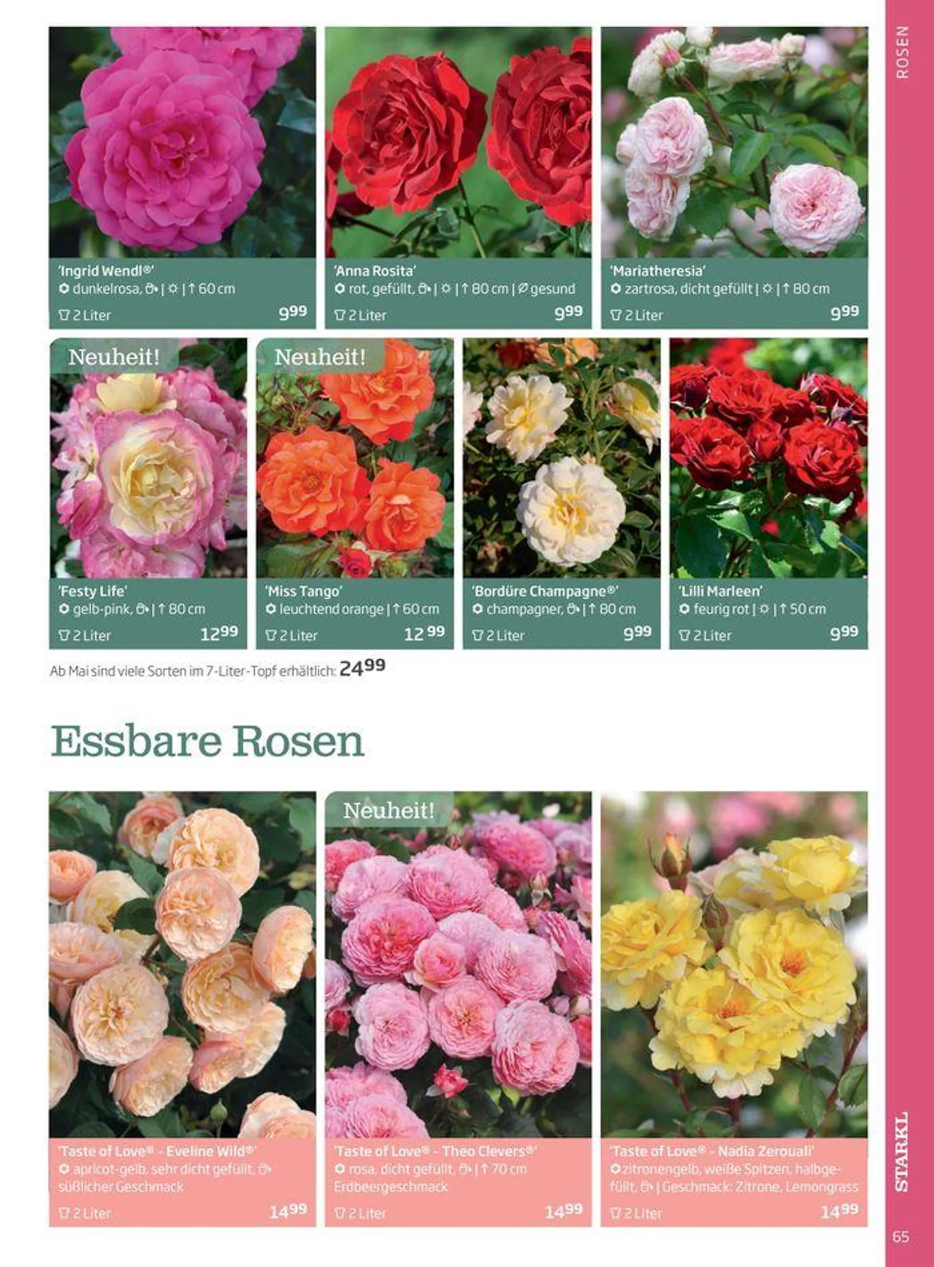 Gartencenter Jahreskatalog 2024 - 65