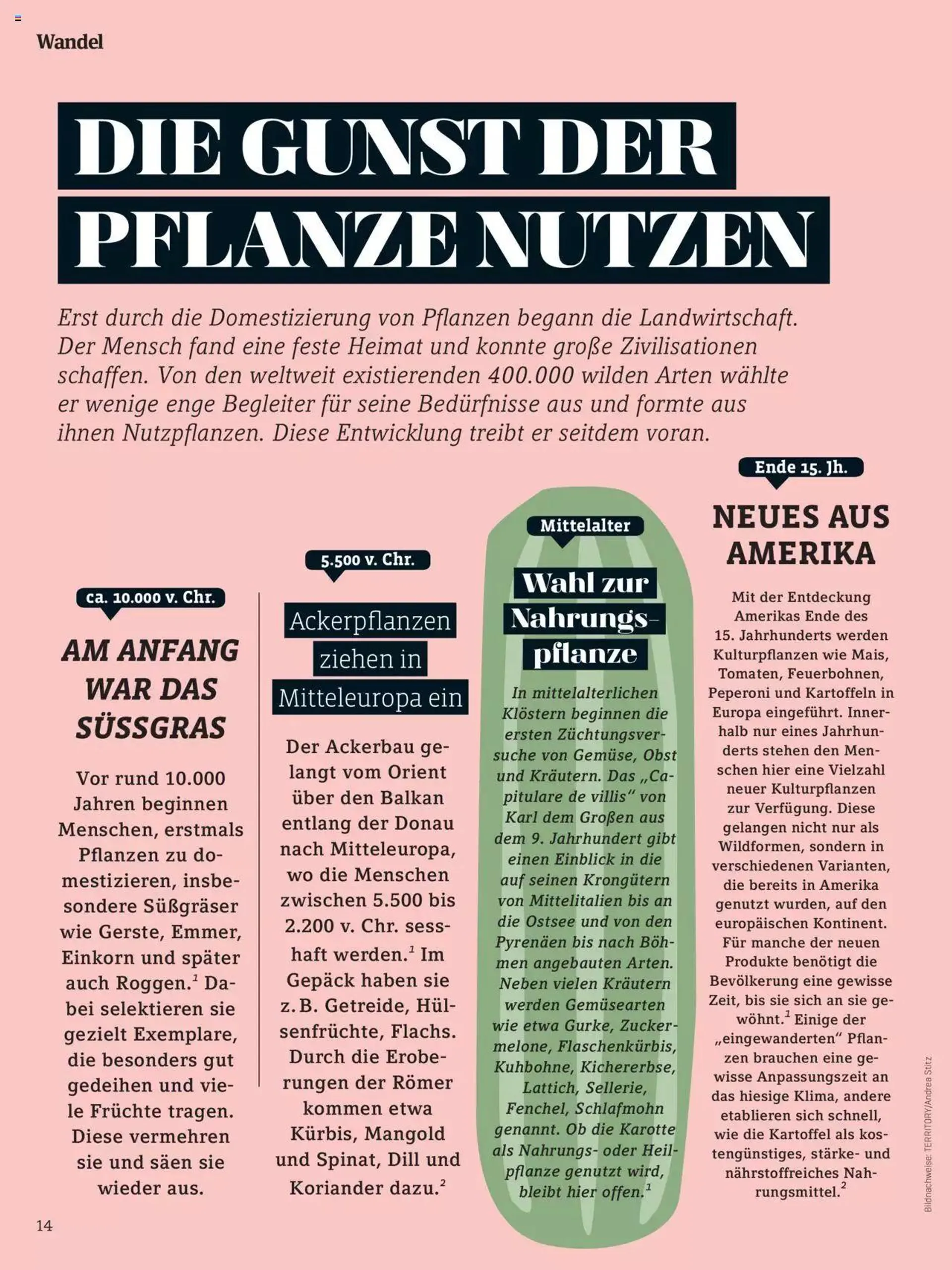 Denns BioMarkt KREO Magazin von 15. April bis 31. Dezember 2024 - Flugblätt seite  14