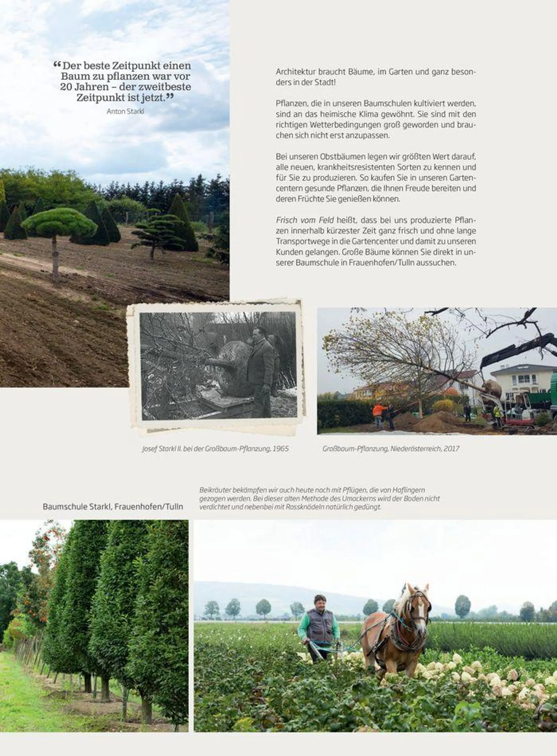 Gartencenter Jahreskatalog 2024 - 5