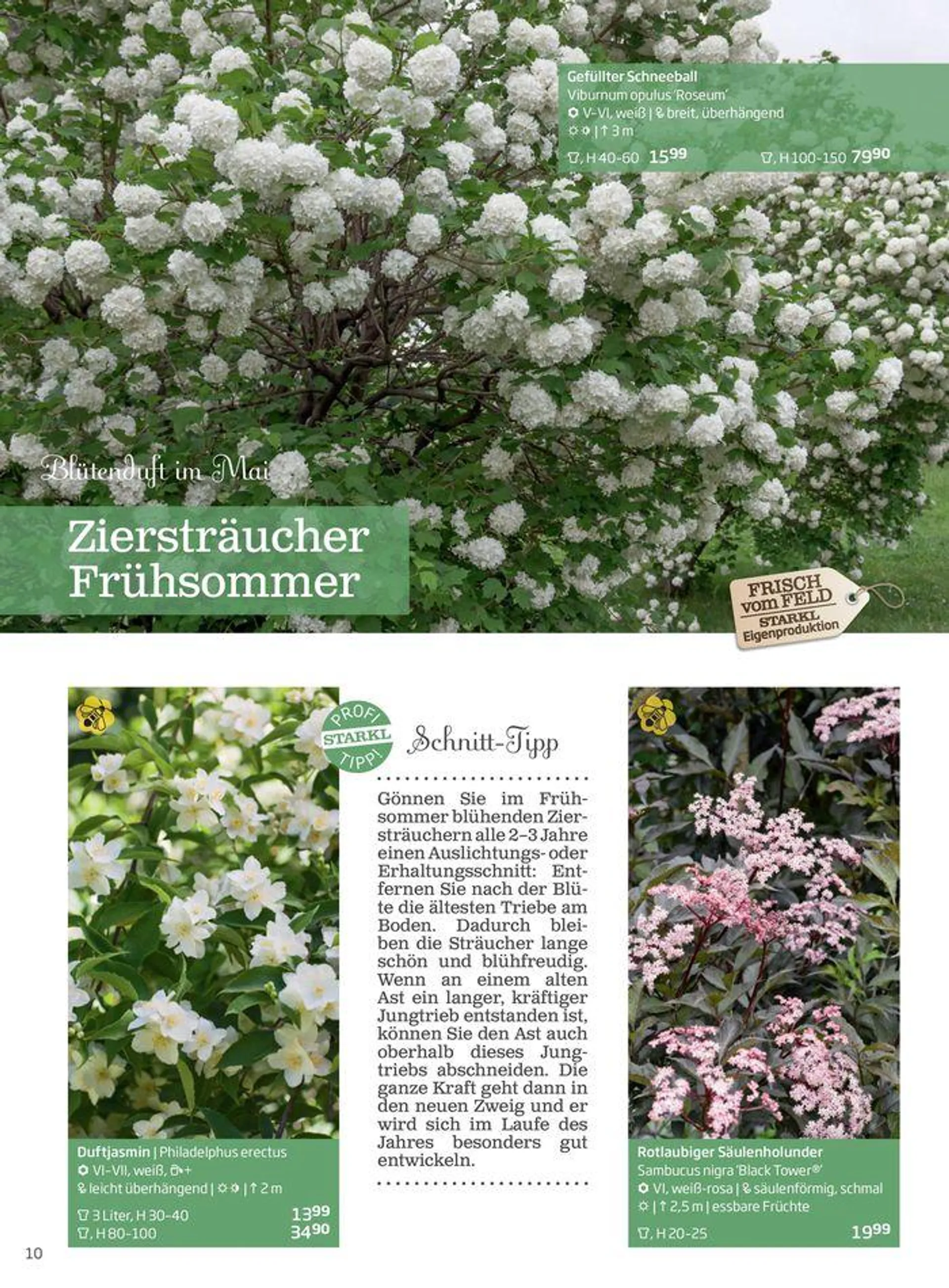 Gartencenter Jahreskatalog 2024 - 10