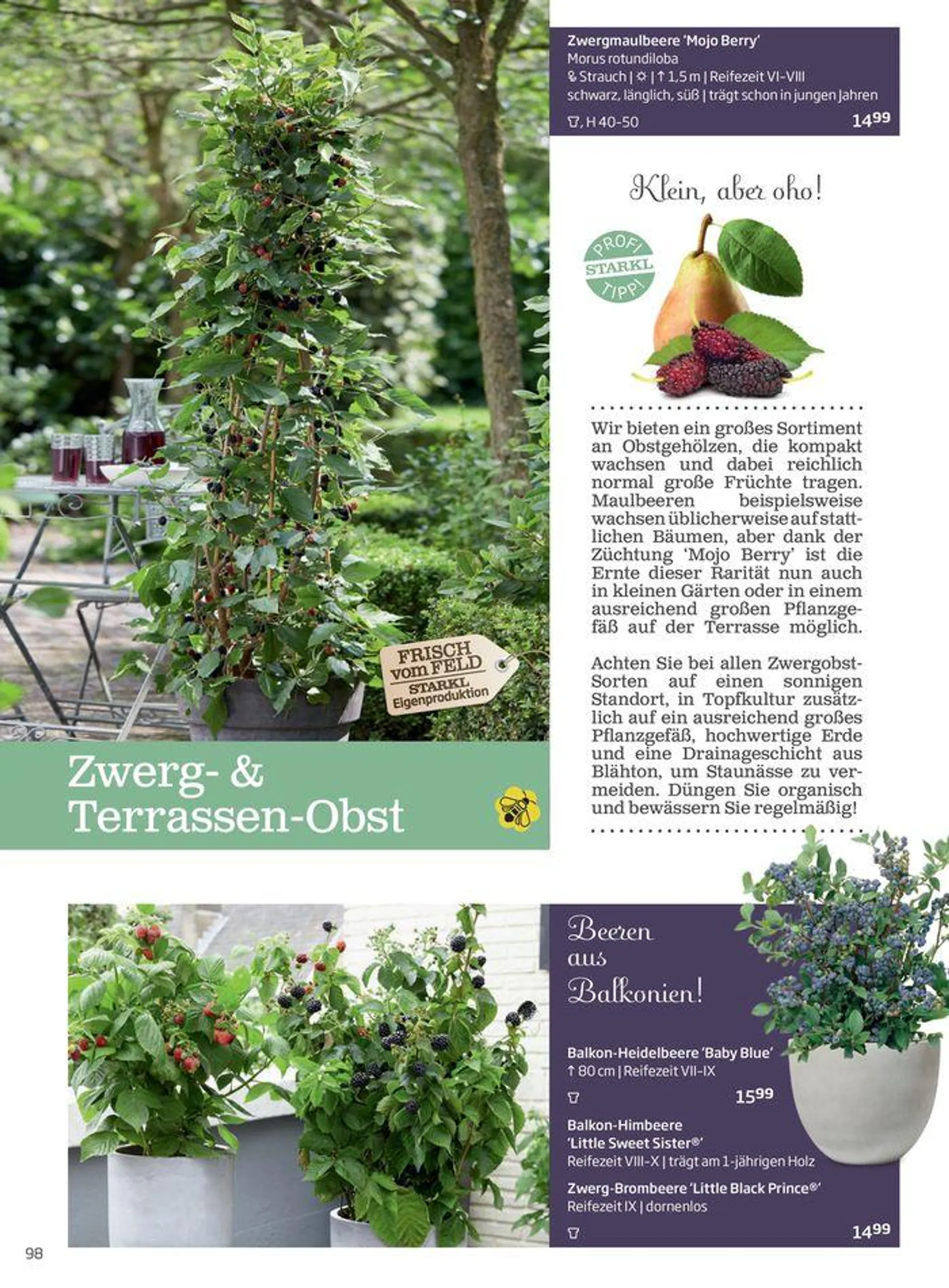 Gartencenter Jahreskatalog 2024 - 98