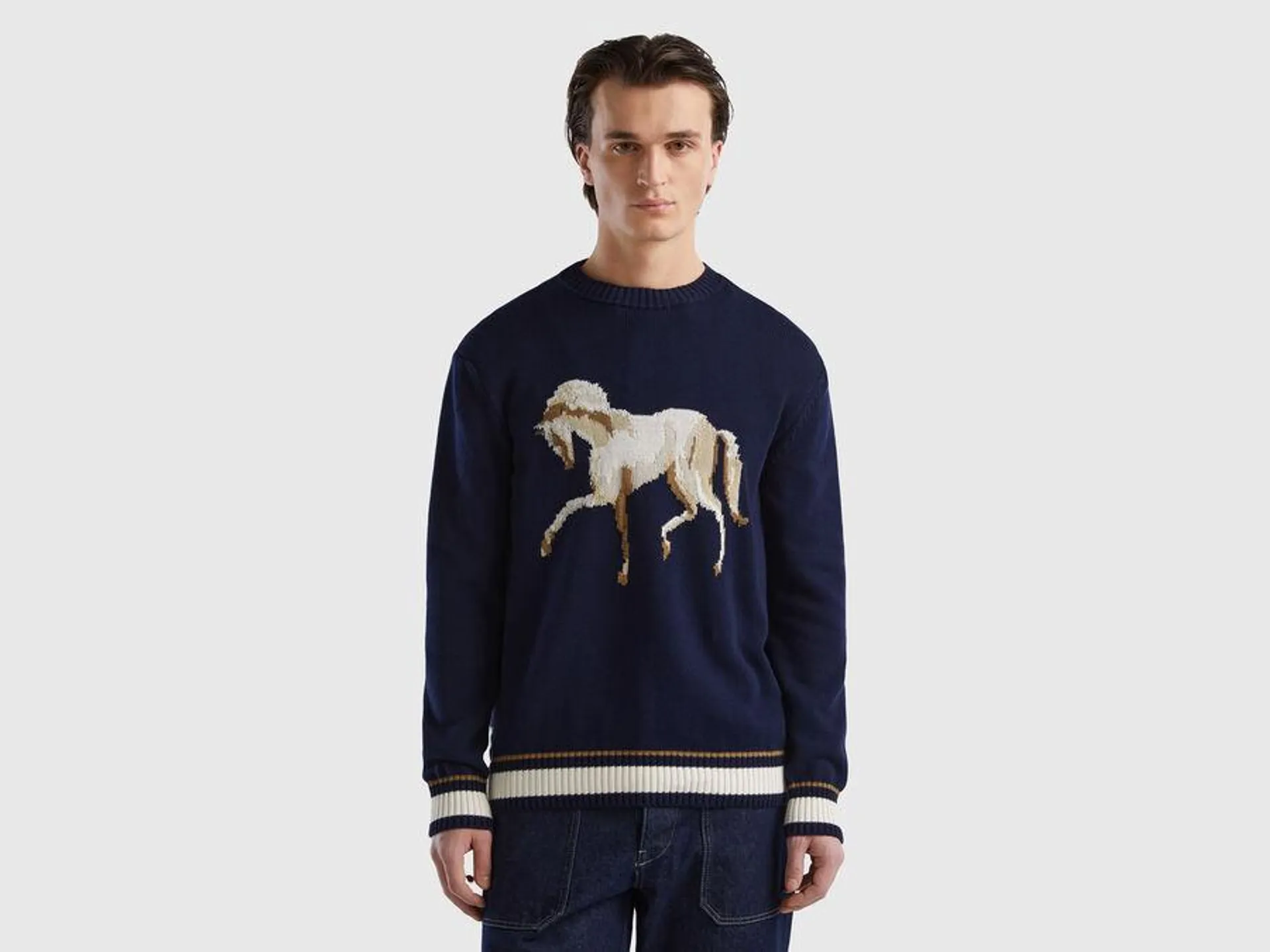 Sweater with horse inlay