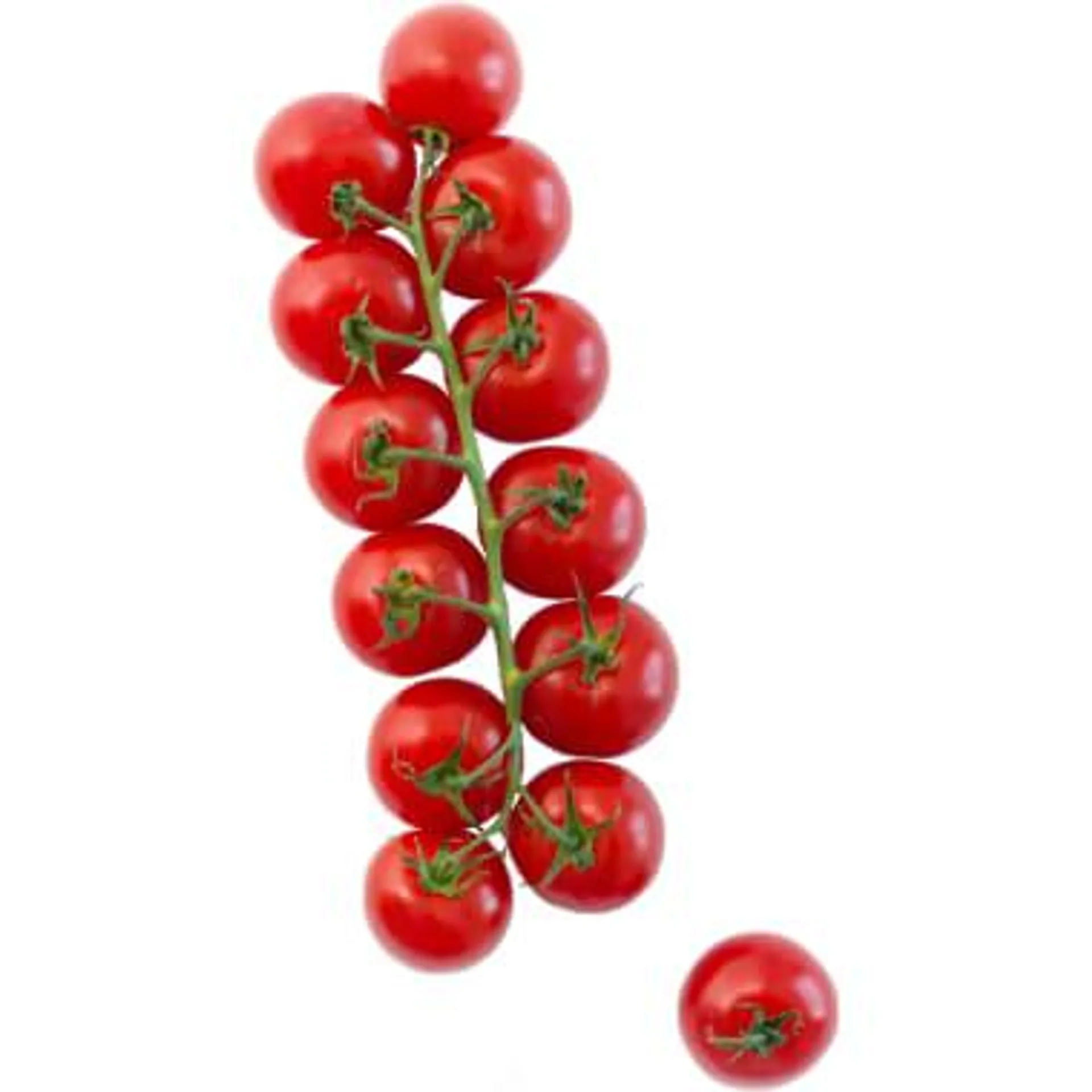 Premium Cherrytomaten