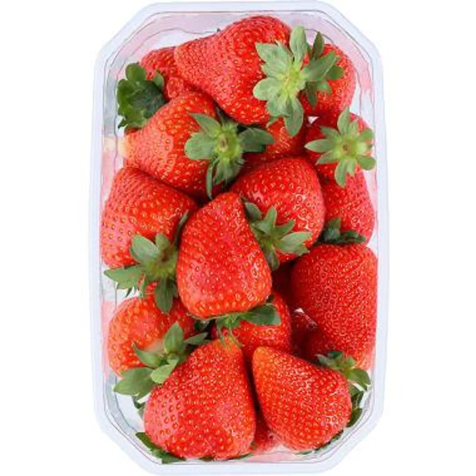 Erdbeeren 500 gr Tasse