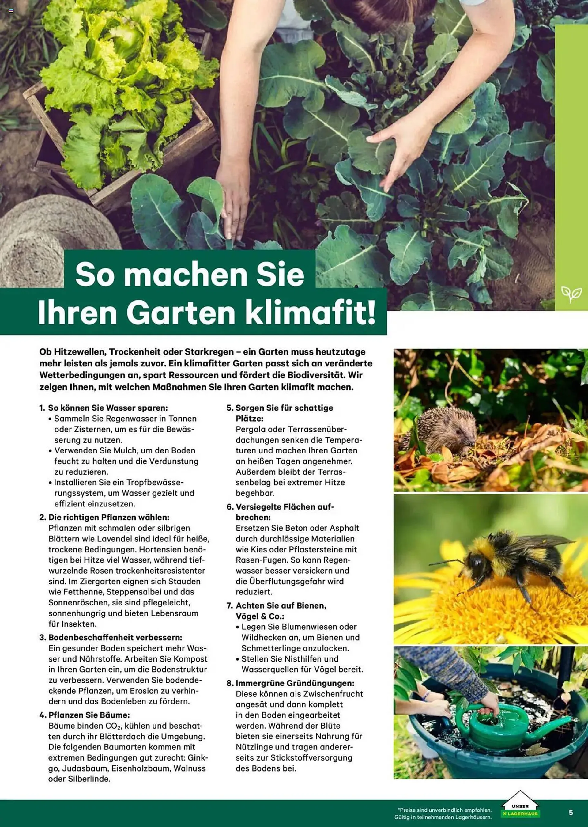 Lagerhaus Flugblatt von 24. Februar bis 30. April 2025 - Flugblätt seite  5