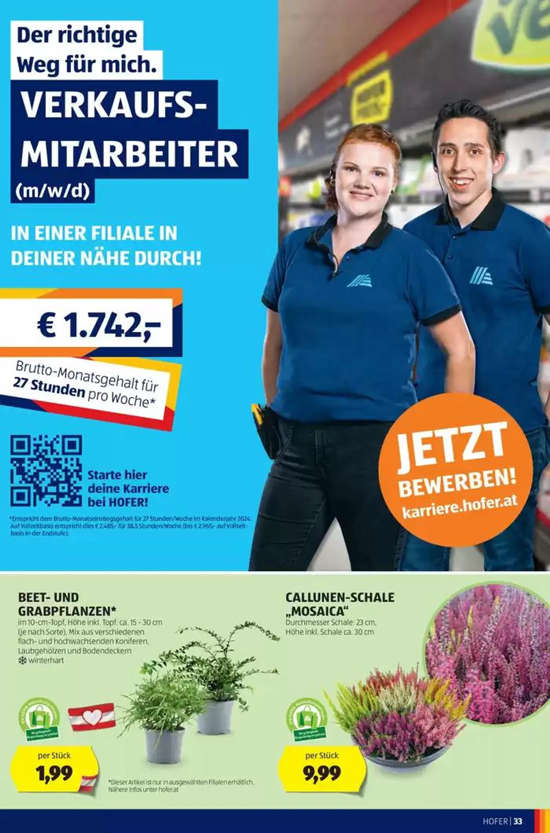 Blättern Sie online im HOFER Flugblatt von 2. Oktober bis 16. Oktober 2024 - Flugblätt seite  37