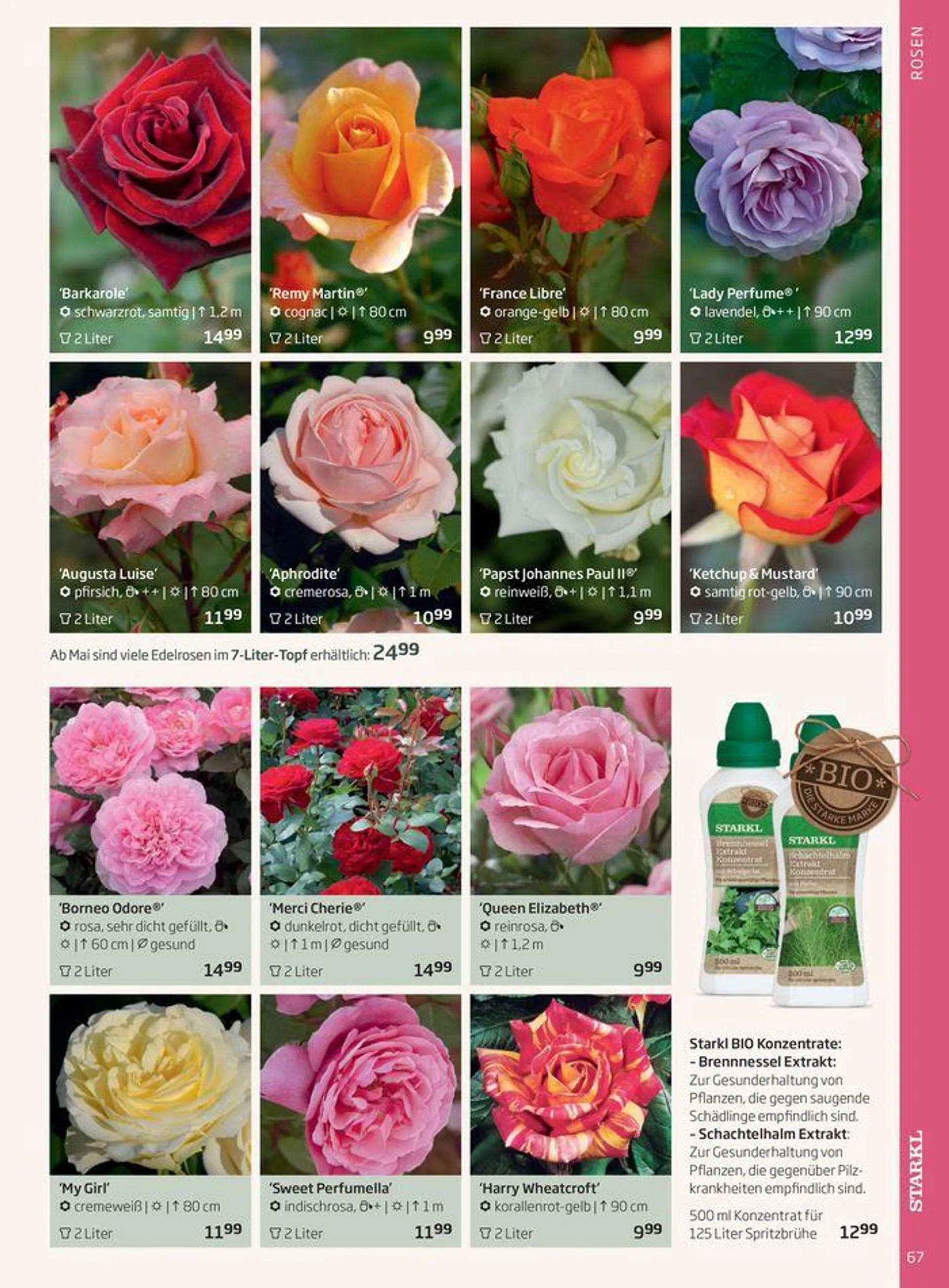 Gartencenter Jahreskatalog 2024 - 67