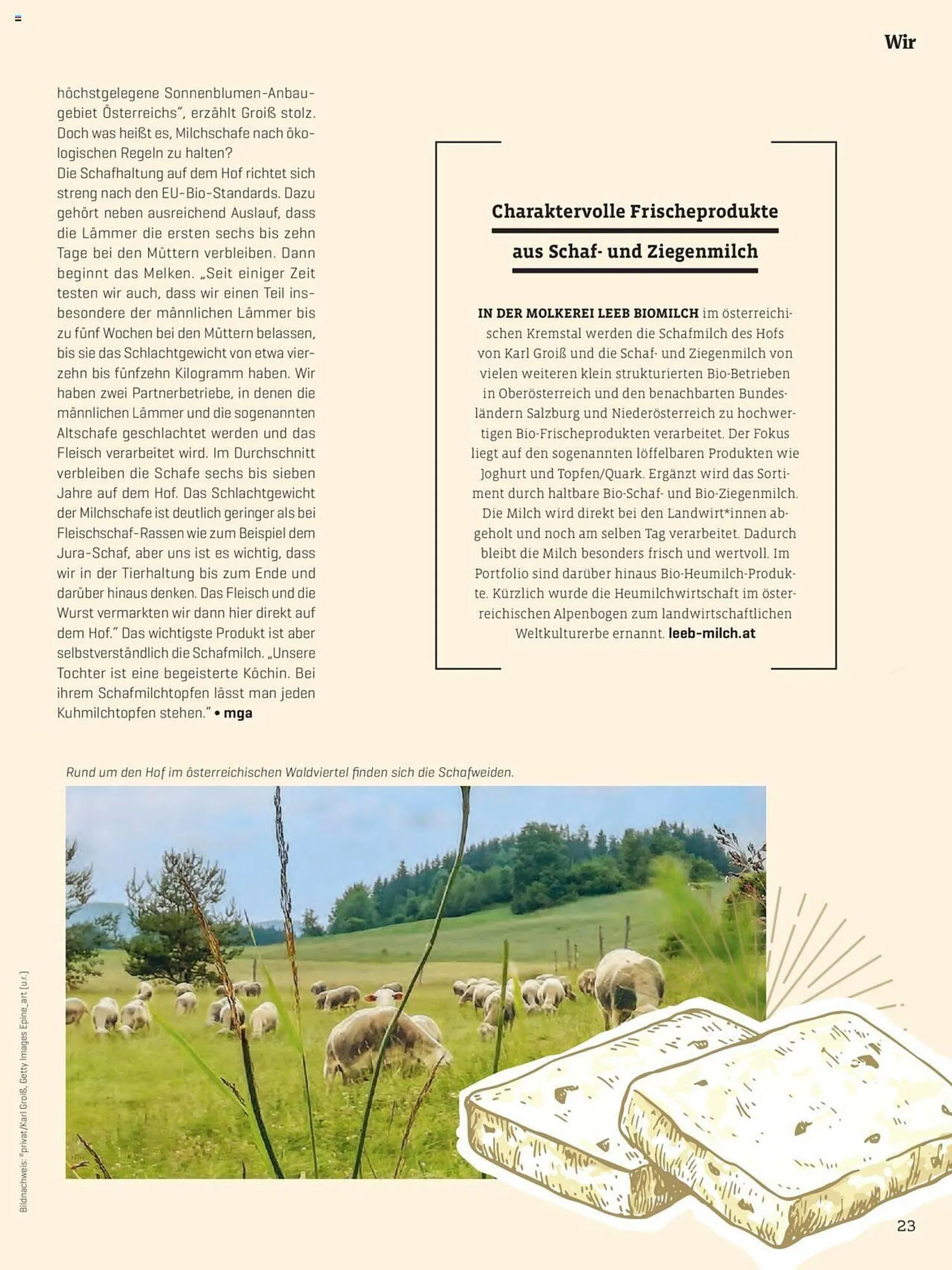 Denns Biomarkt Flugblatt - 23