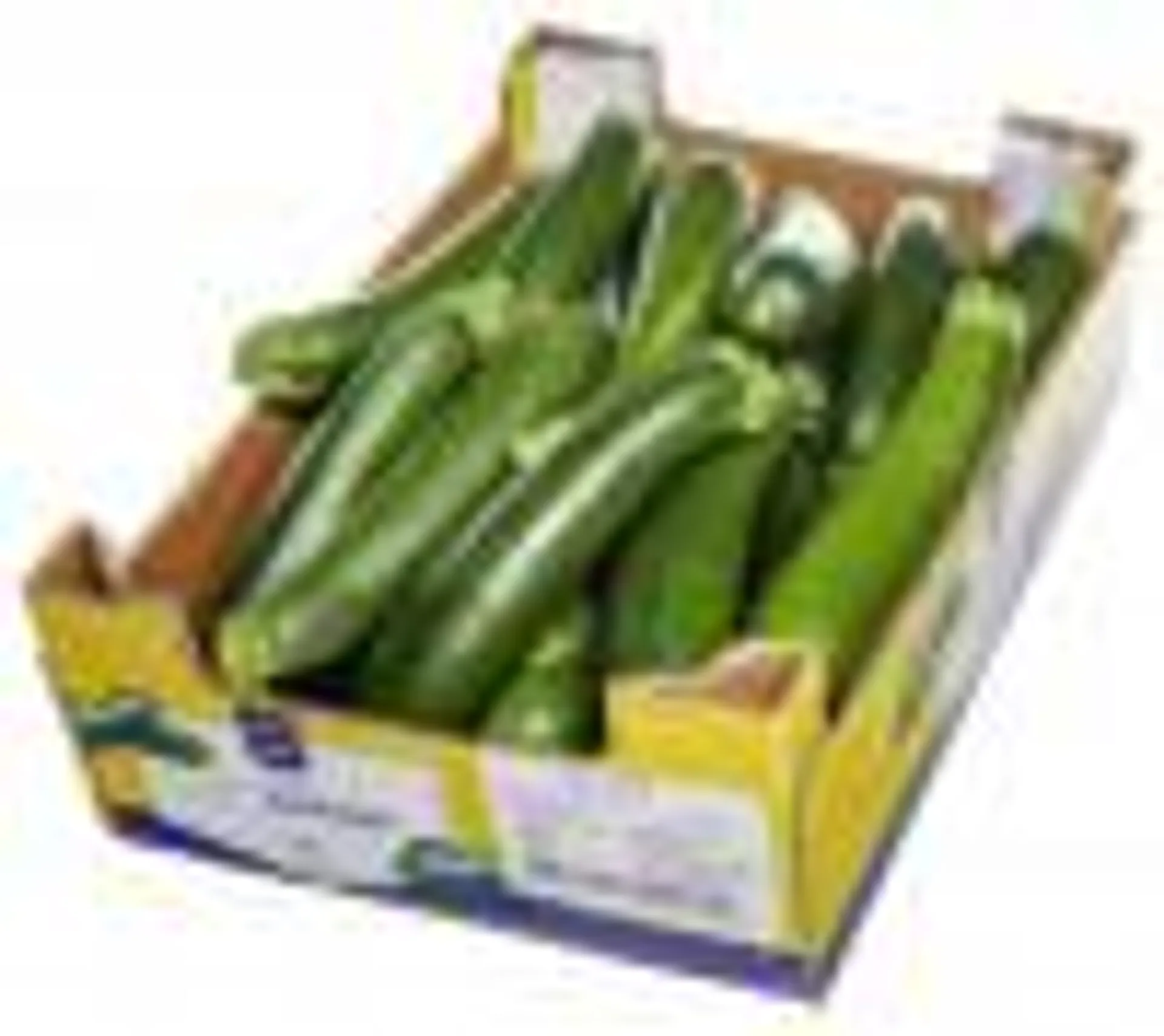 Zucchini grün lang frisch Spanien