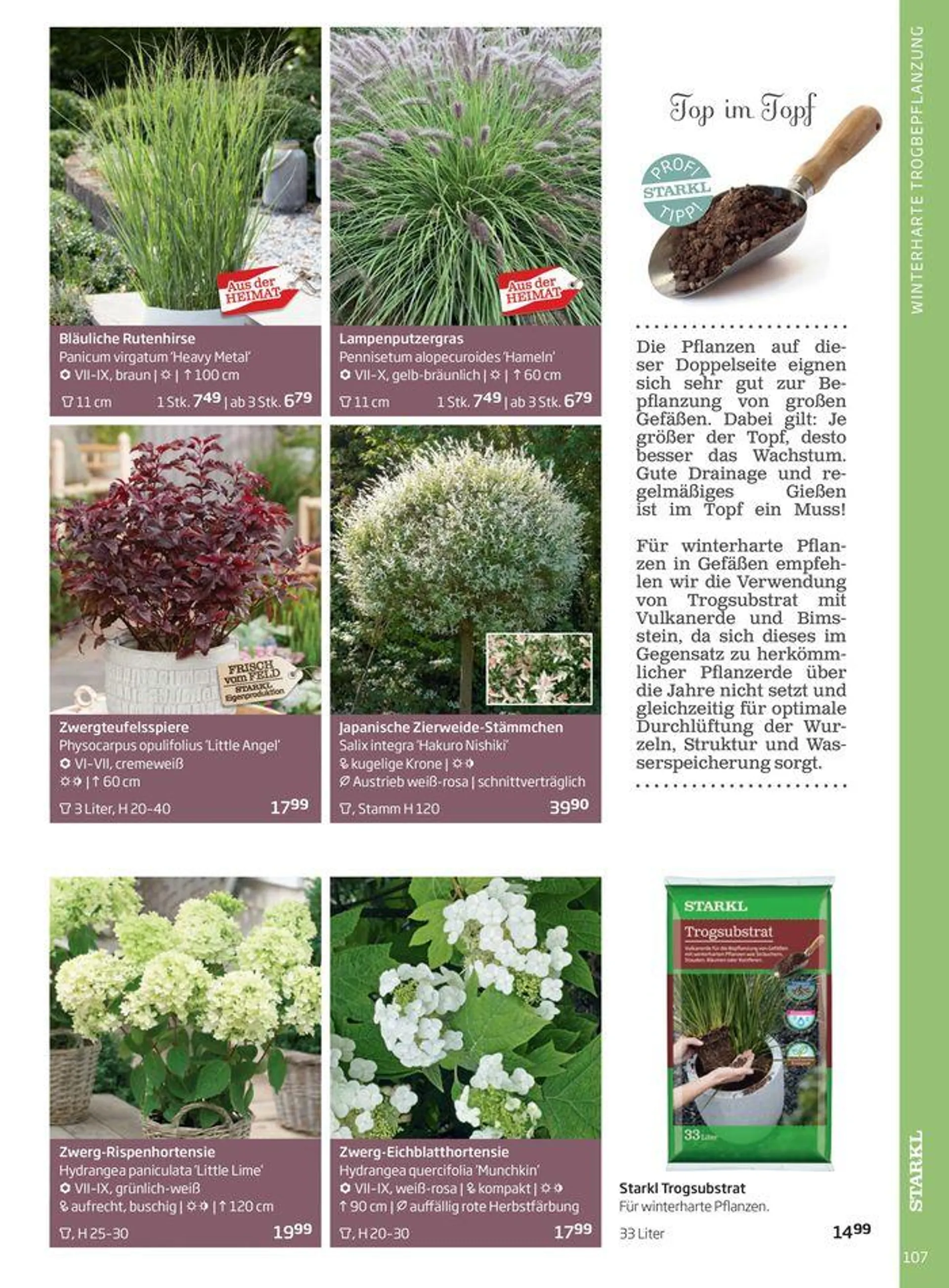 Gartencenter Jahreskatalog 2024 - 107