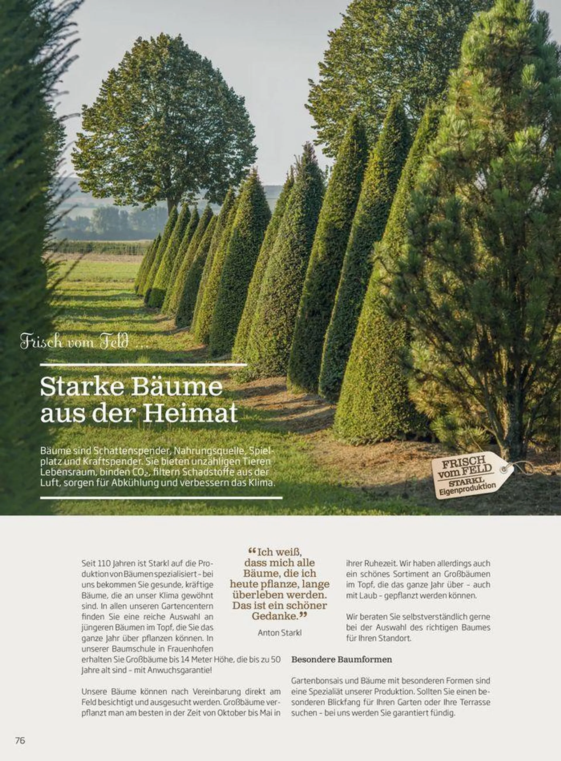 Gartencenter Jahreskatalog 2024 - 76