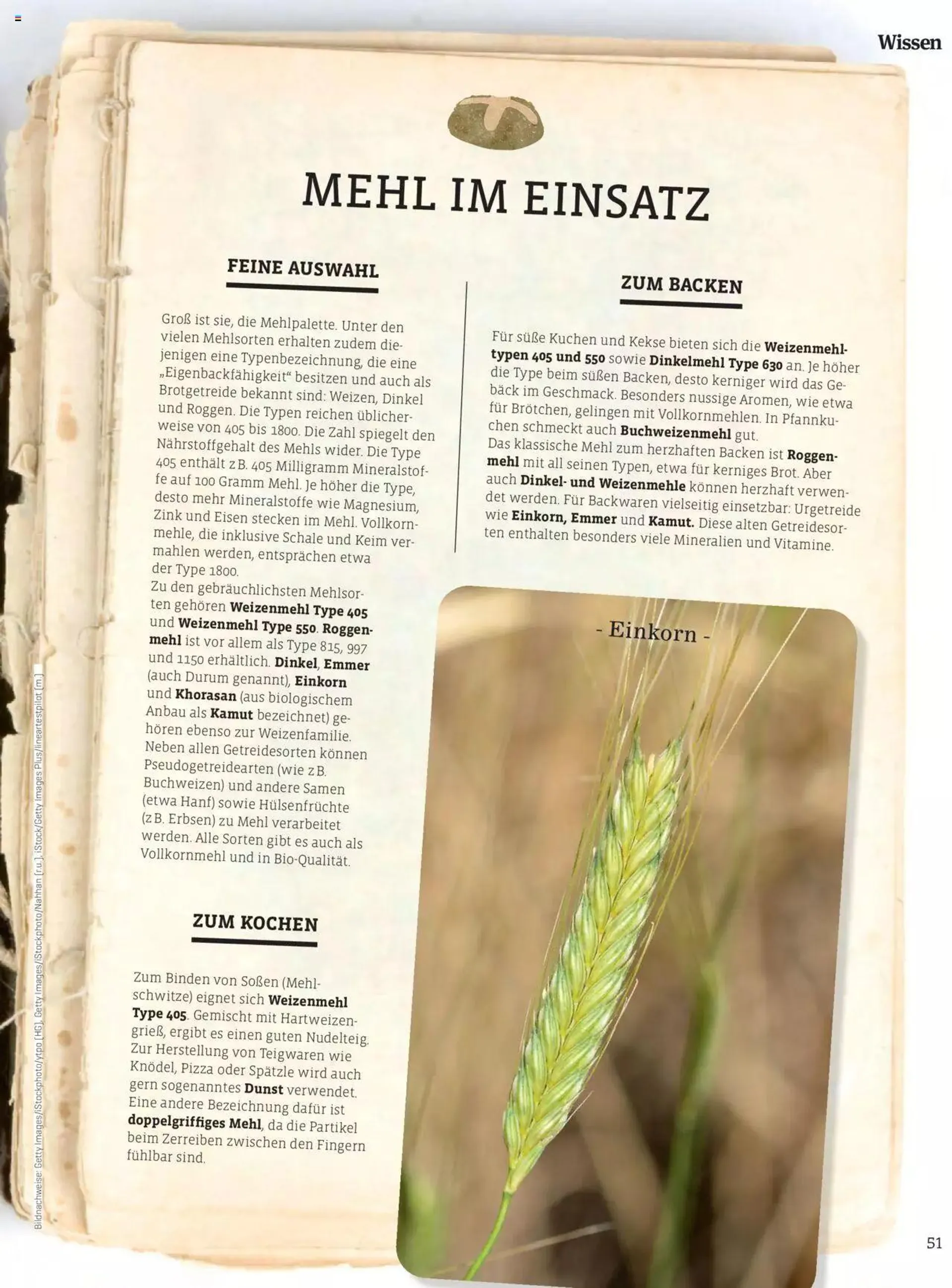 Denns BioMarkt KREO Magazin von 15. April bis 31. Dezember 2024 - Flugblätt seite  51