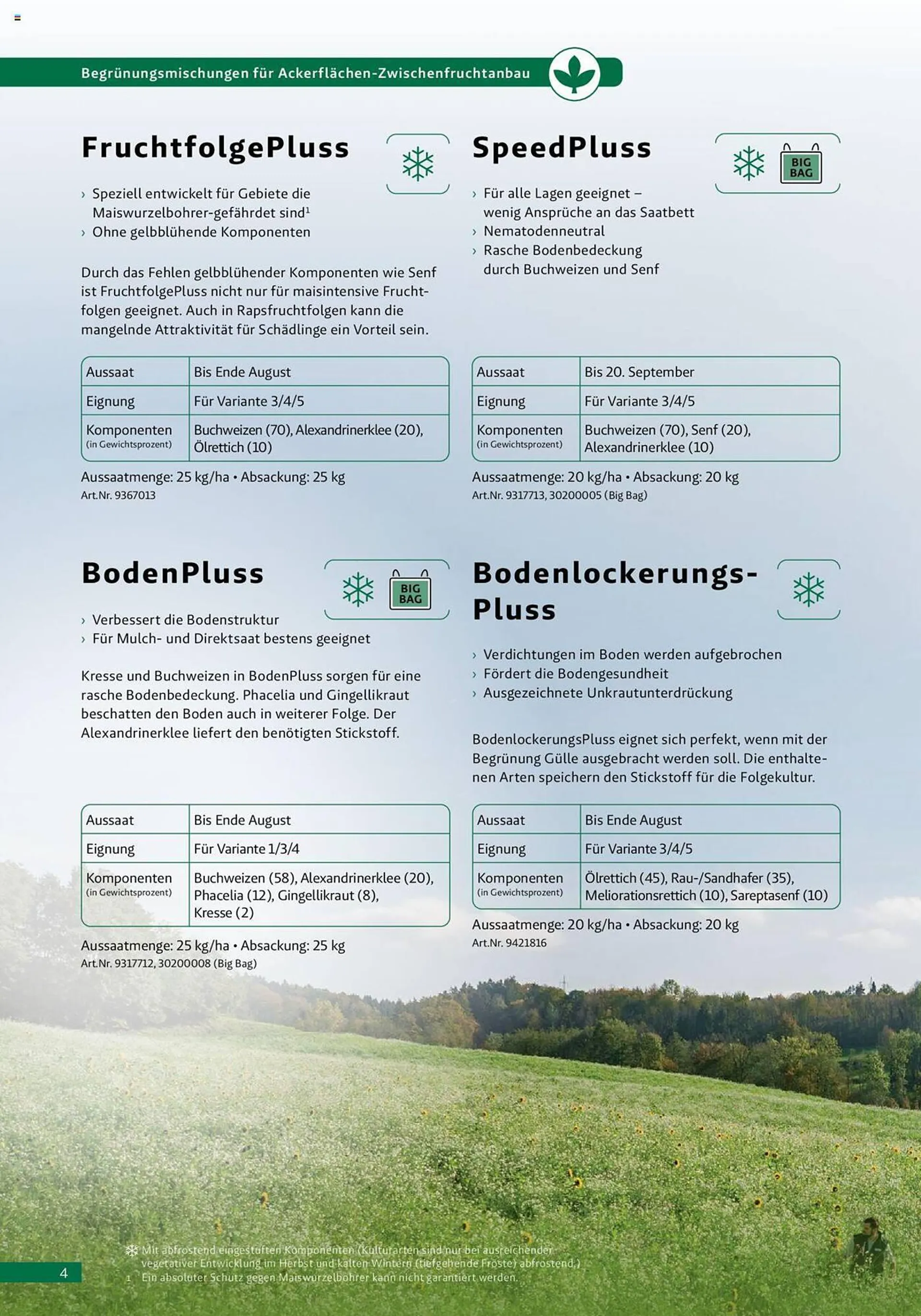 Lagerhaus Flugblatt von 29. März bis 31. August 2023 - Flugblätt seite  4