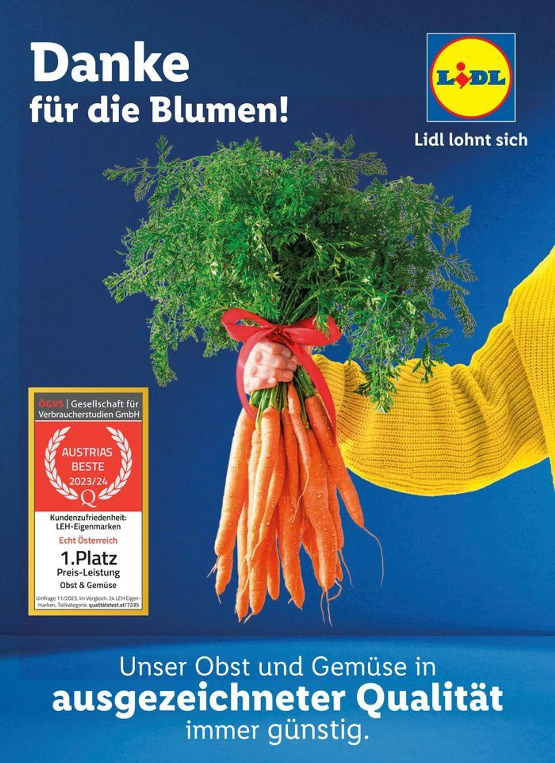 Flugblatt Lidl von 20. Juni bis 26. Juni 2024 - Flugblätt seite  39