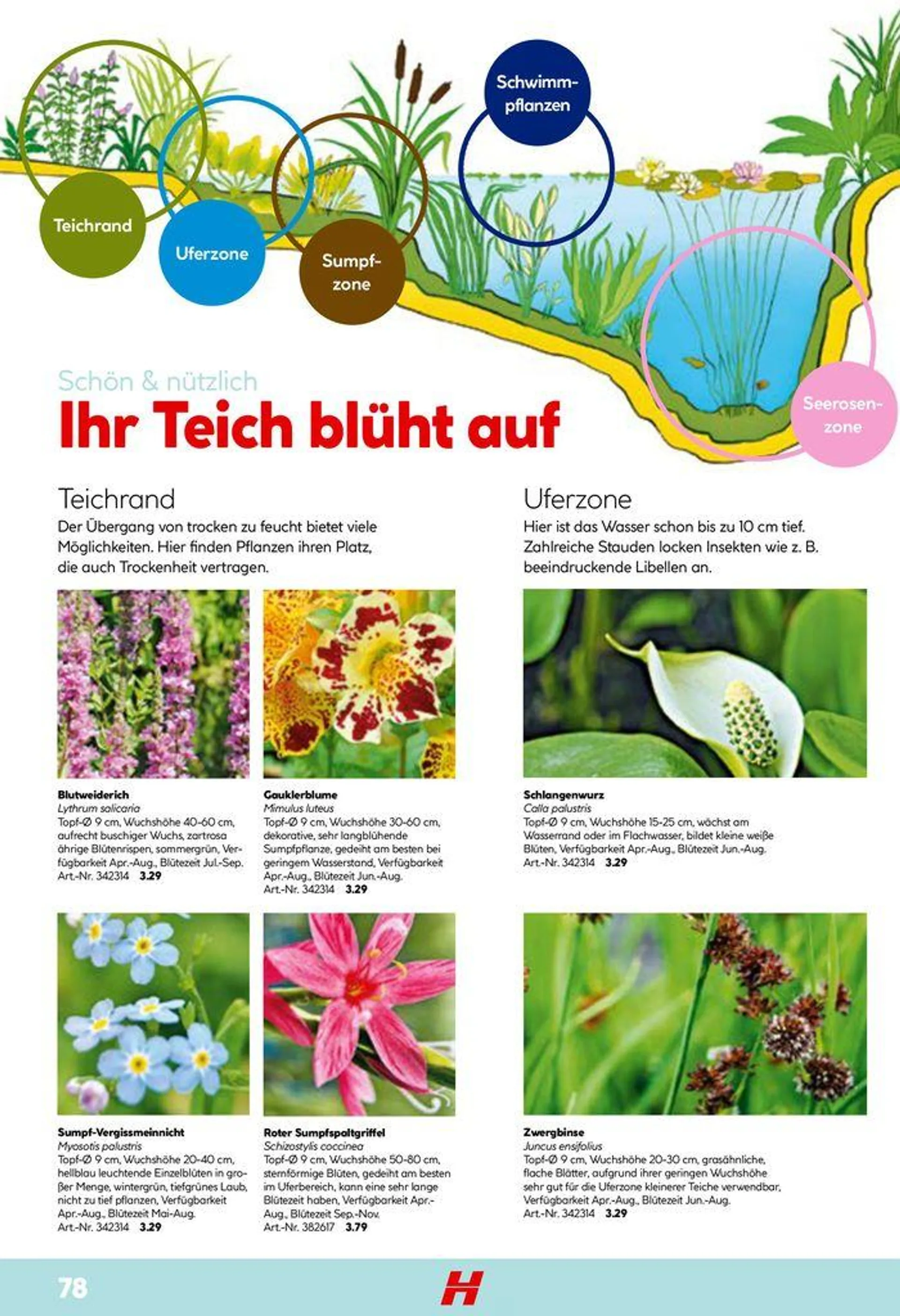 Smartes Gärtnern von 11. Juni bis 31. Dezember 2024 - Flugblätt seite  78