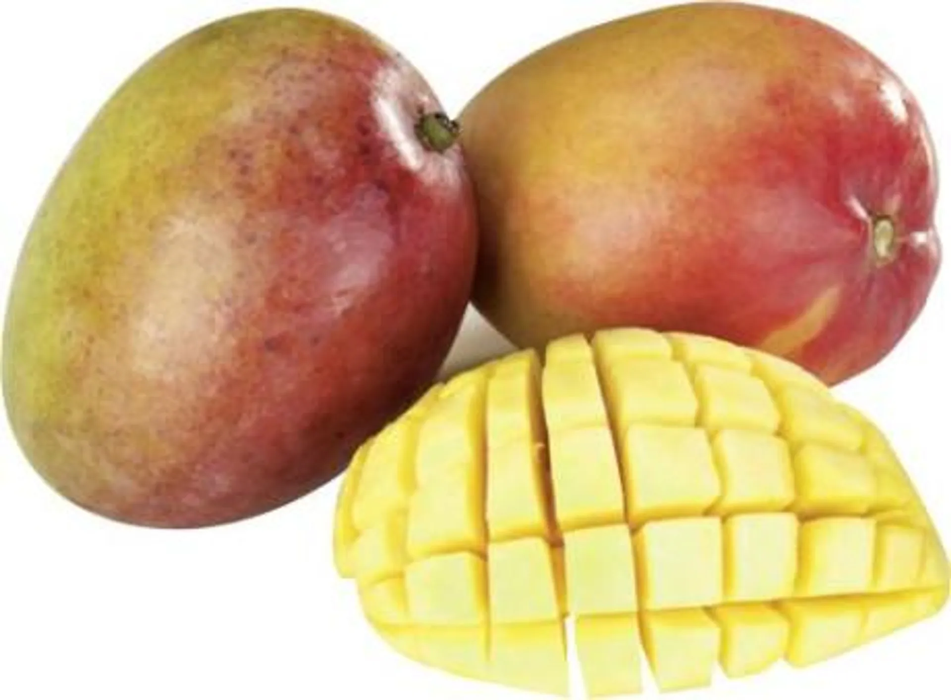 Mango Keitt Brasilien