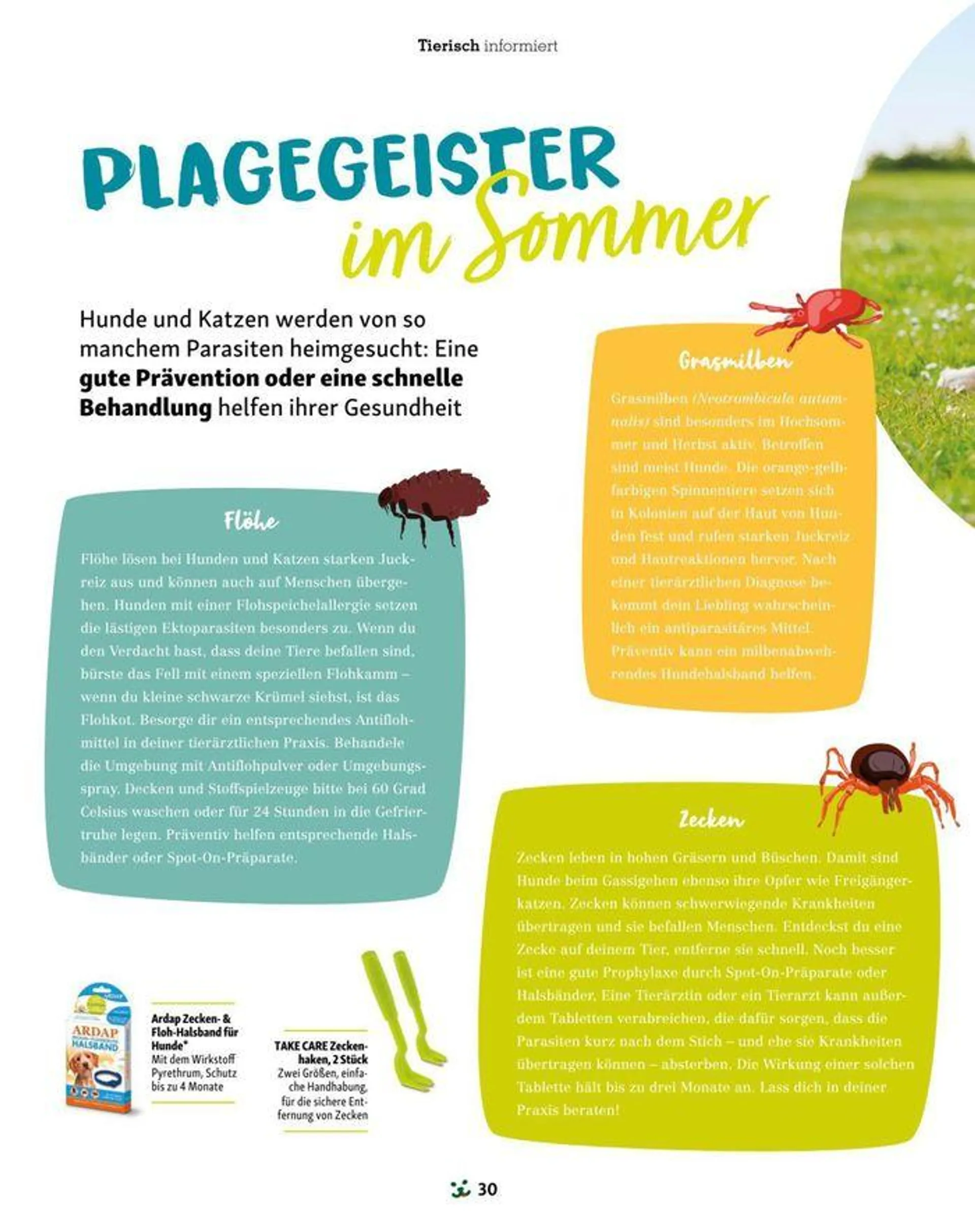 Magazin Fressnapf von 22. Mai bis 30. Juni 2024 - Flugblätt seite  30