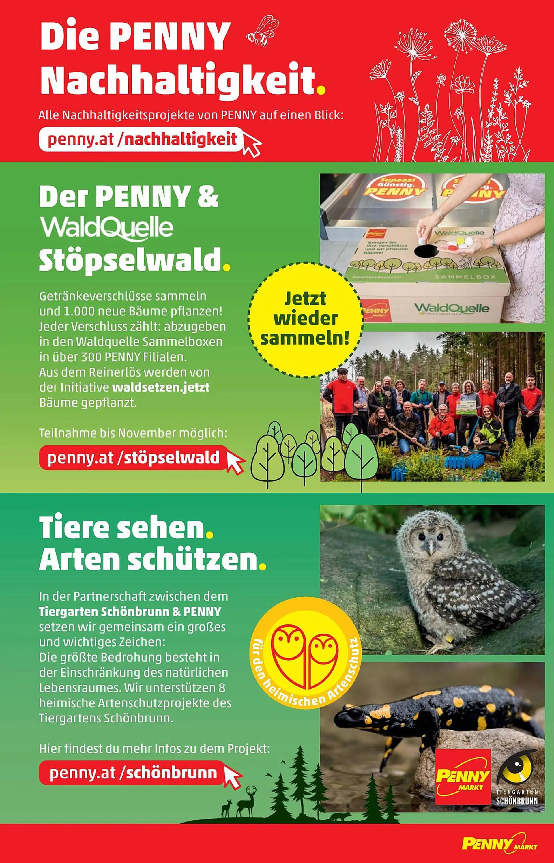 PENNY Flugblatt von 14. September bis 20. September 2023 - Flugblätt seite  28